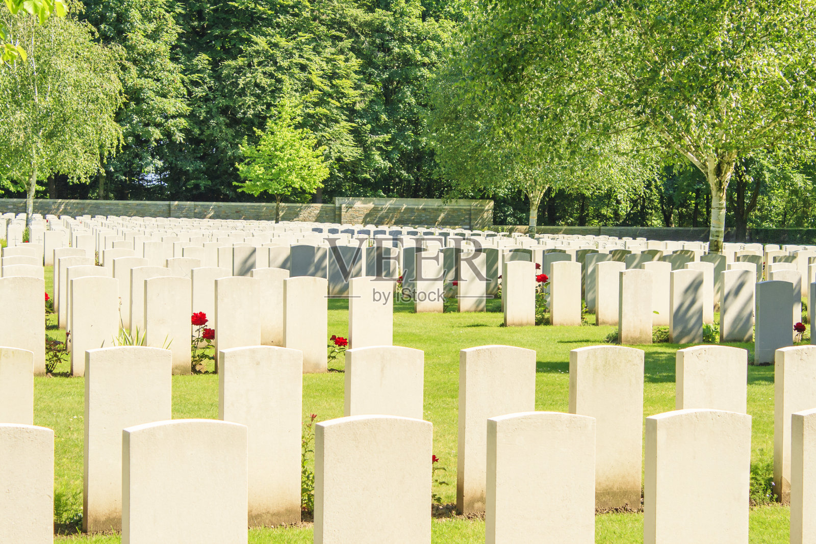 新英国公墓第一次世界大战弗兰德斯战场照片摄影图片