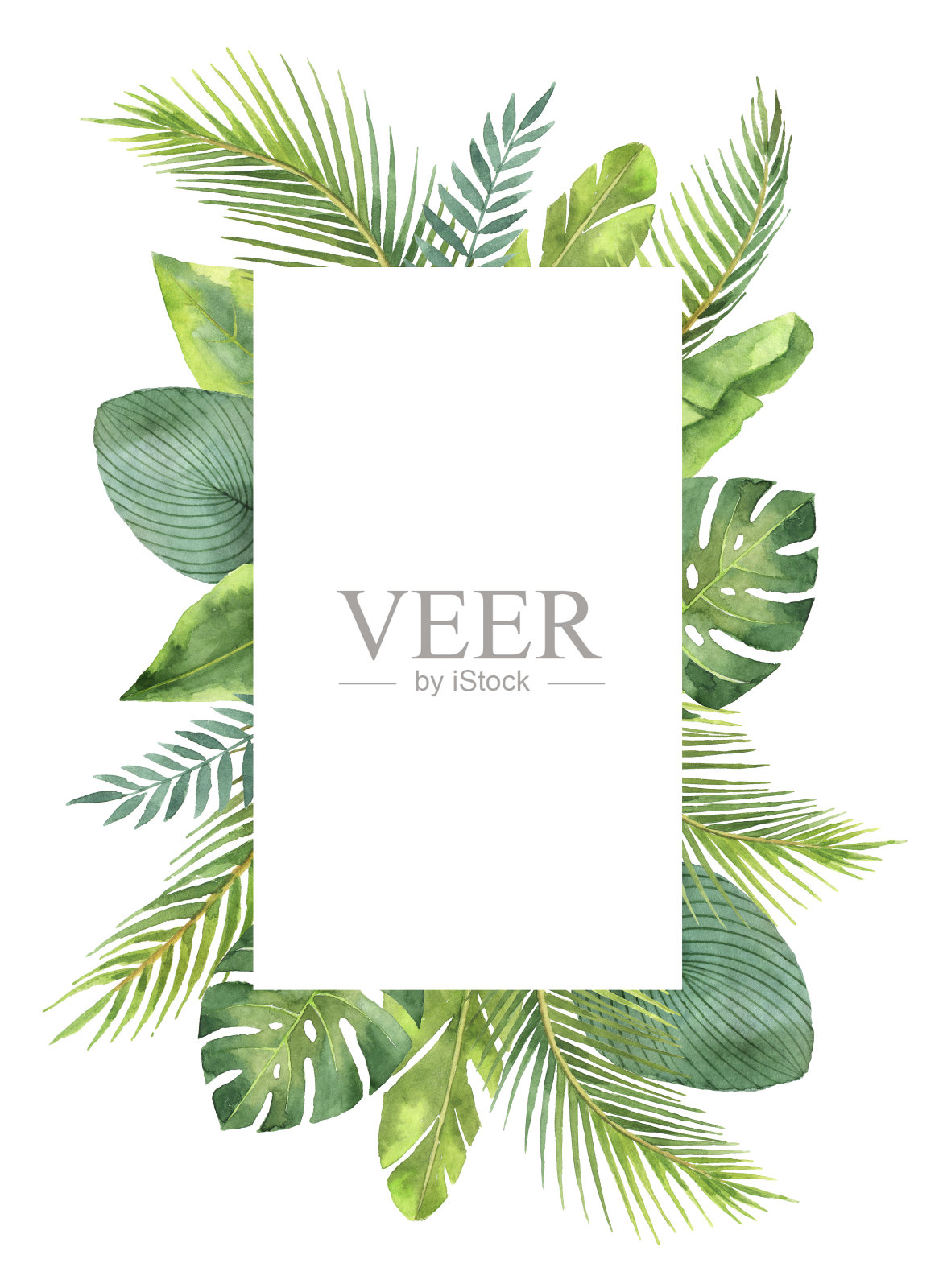 水彩框架热带树叶和树枝孤立在白色的背景。插画图片素材
