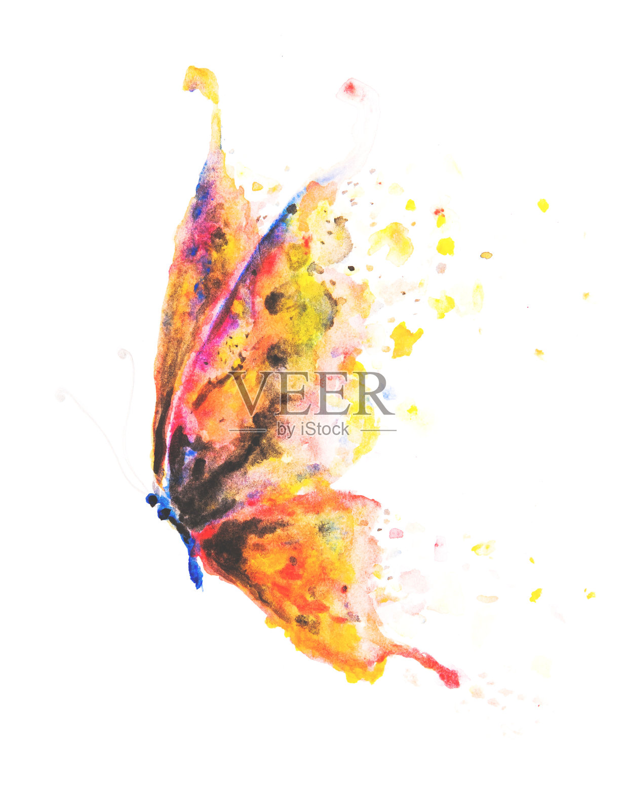 漂亮的手绘蝴蝶与五颜六色的黄色，粉红色，蓝色和橙色的翅膀插画图片素材
