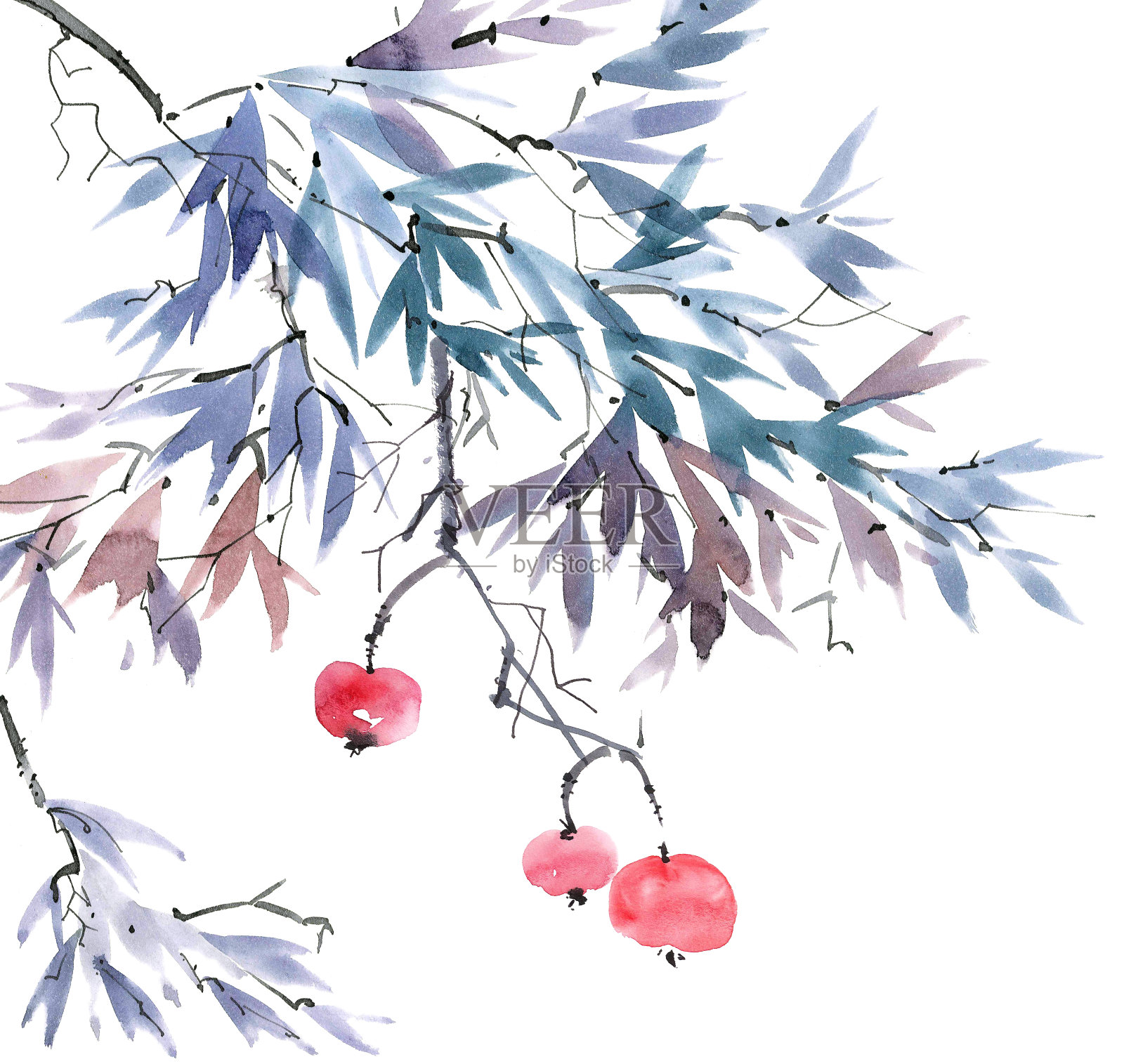 水果树枝插画图片素材