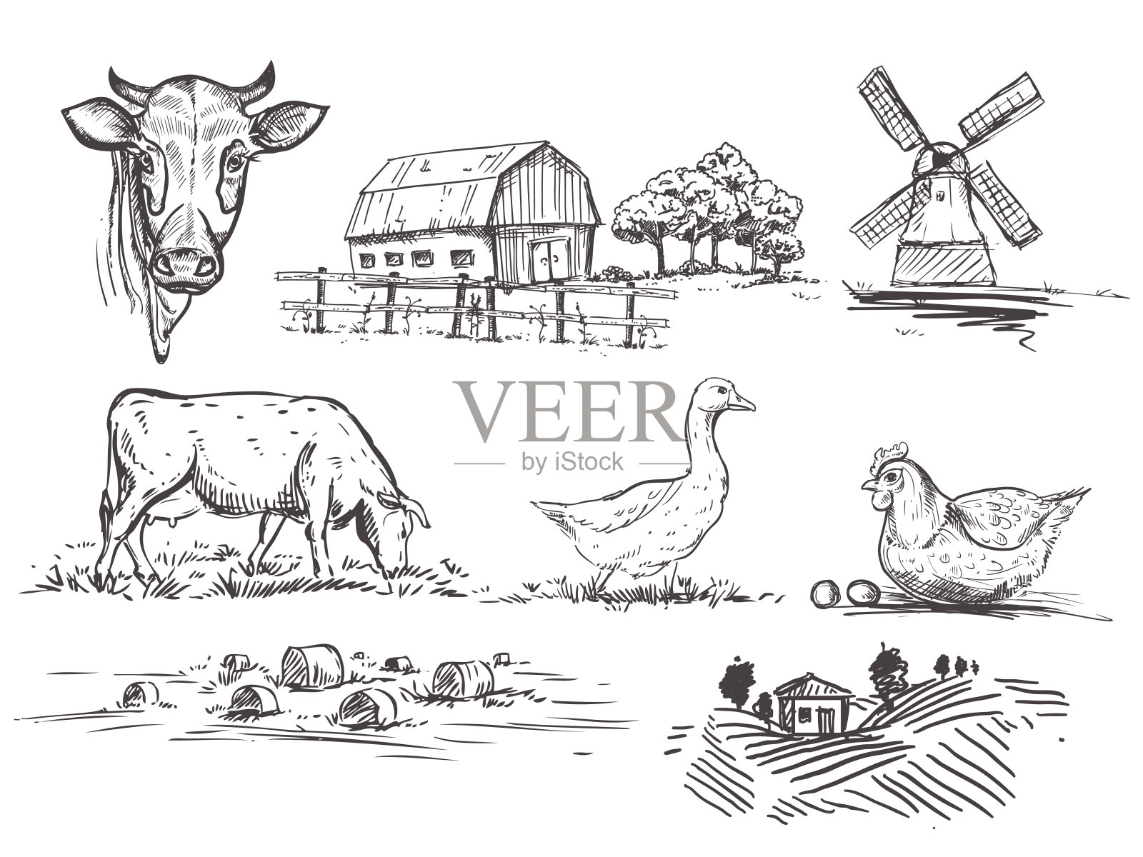 手绘插图与米尔，农场和奶牛插画图片素材