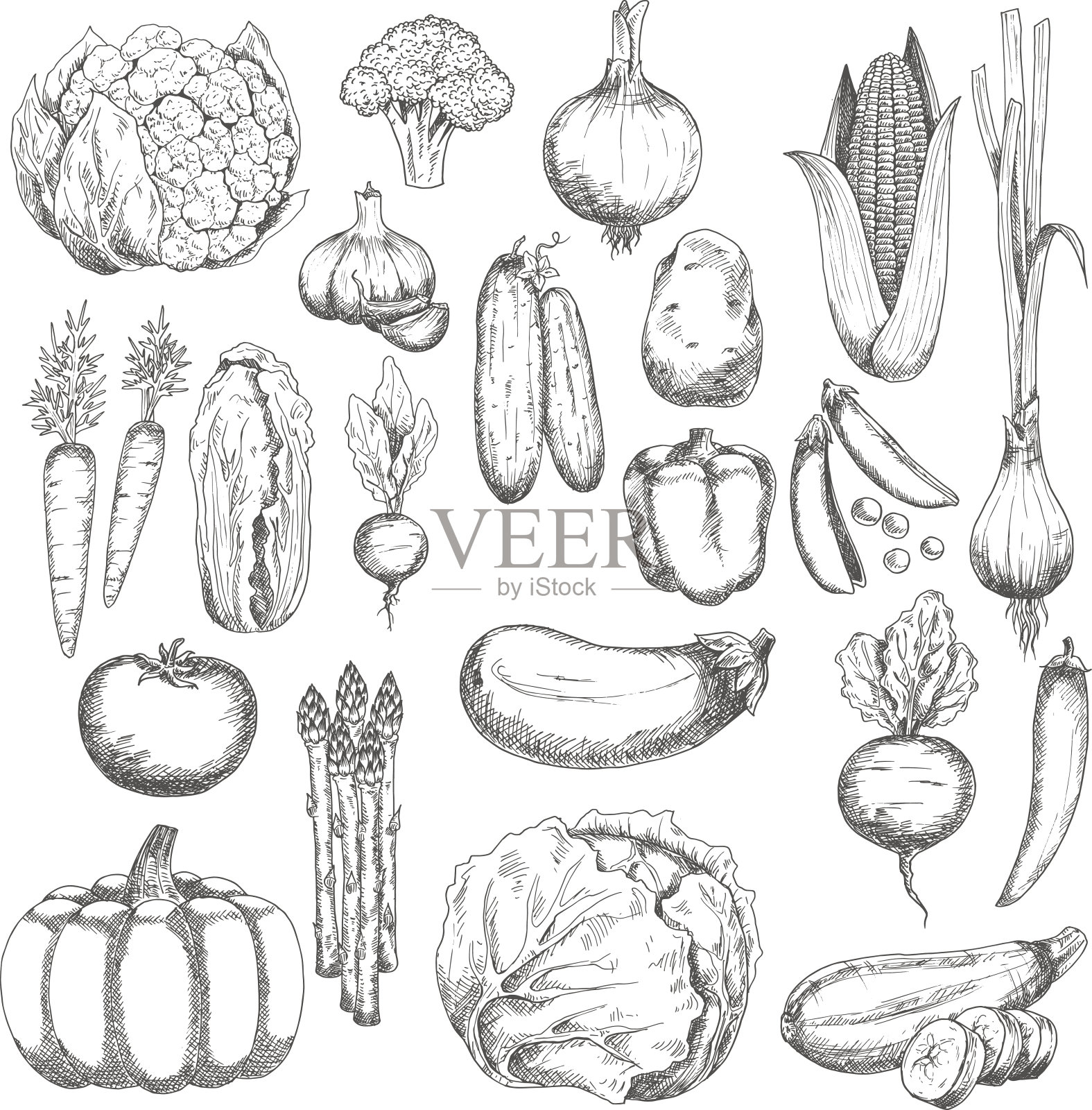 卫生农用蔬菜速写集设计元素图片
