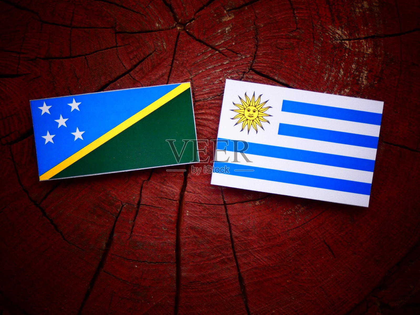 孤立的树桩上悬挂着所罗门群岛国旗和乌拉圭国旗照片摄影图片