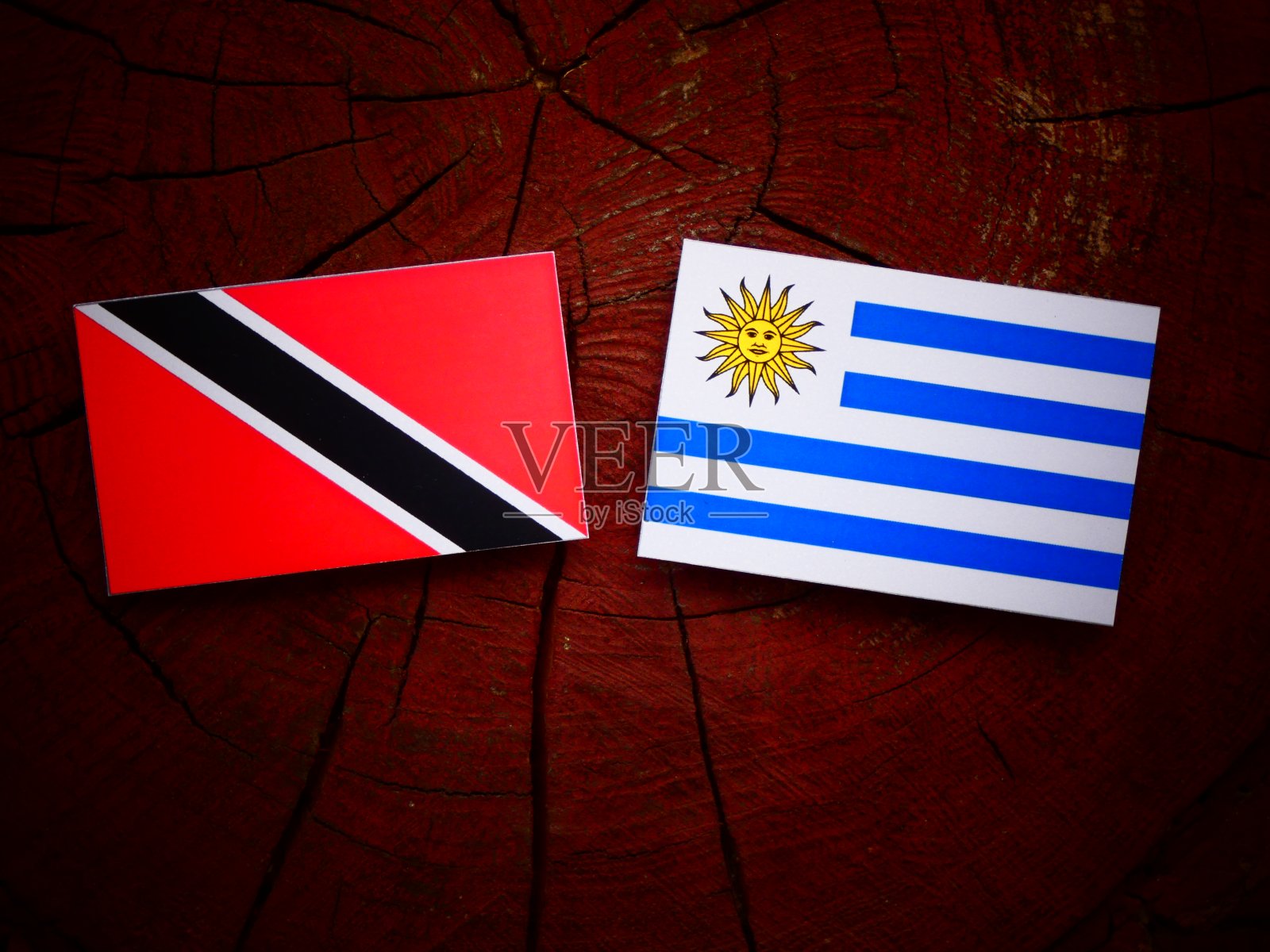 特立尼达和多巴哥国旗和乌拉圭国旗在一个树桩孤立照片摄影图片