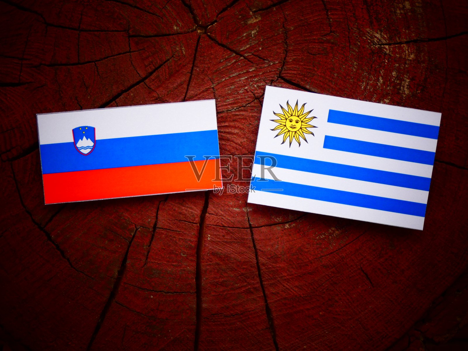 斯洛文尼亚国旗和乌拉圭国旗挂在一个孤立的树桩上照片摄影图片