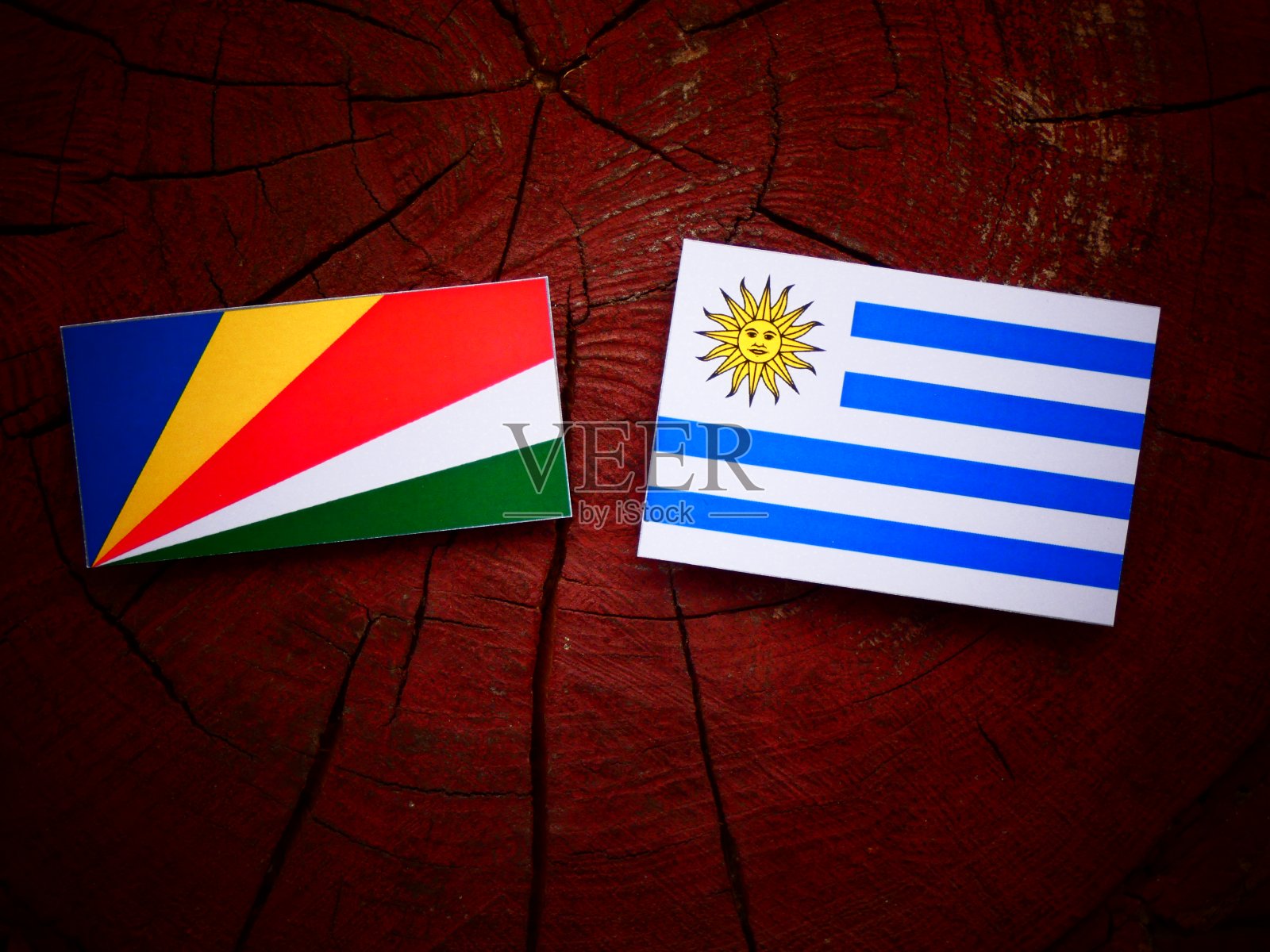 塞舌尔国旗和乌拉圭国旗插在孤立的树桩上照片摄影图片