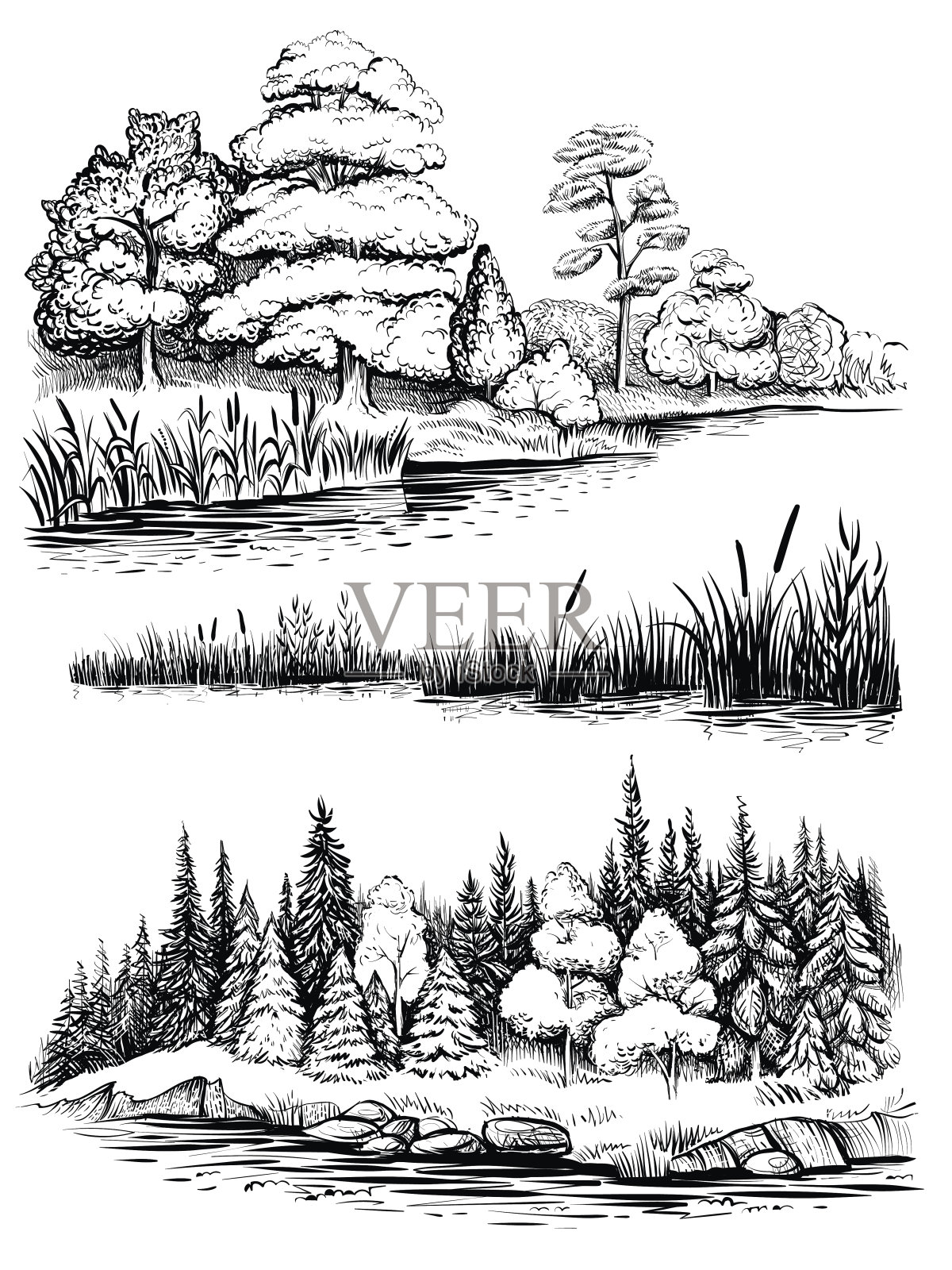 树和水的反射，矢量插图设置。景观与森林，手绘素描。插画图片素材