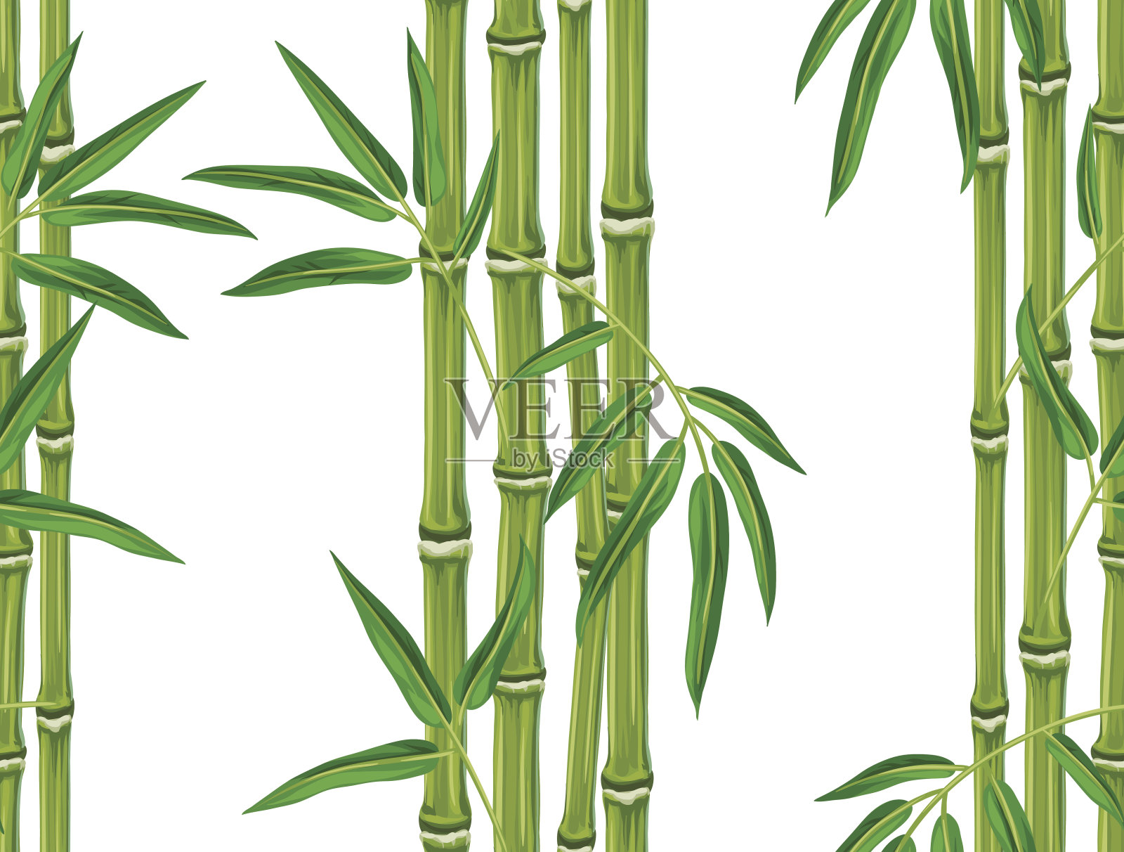 竹叶植物无缝图案。背景不插画图片素材