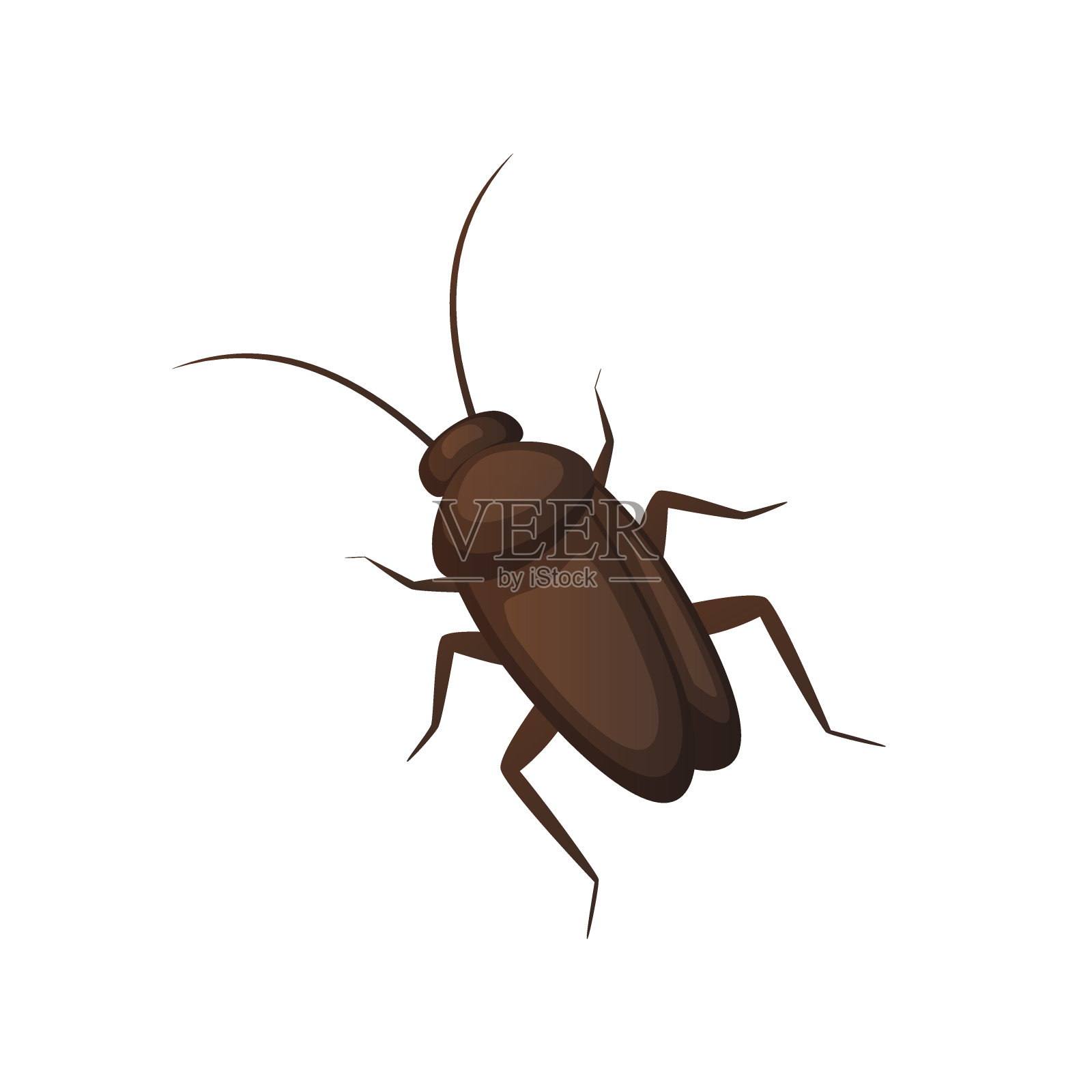 蟑螂向量孤立设计元素图片