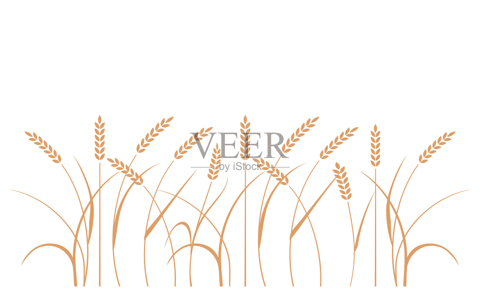 麦田的背景。谷物图标设置大米，小麦，玉米，燕麦，黑麦，大麦。插画图片素材