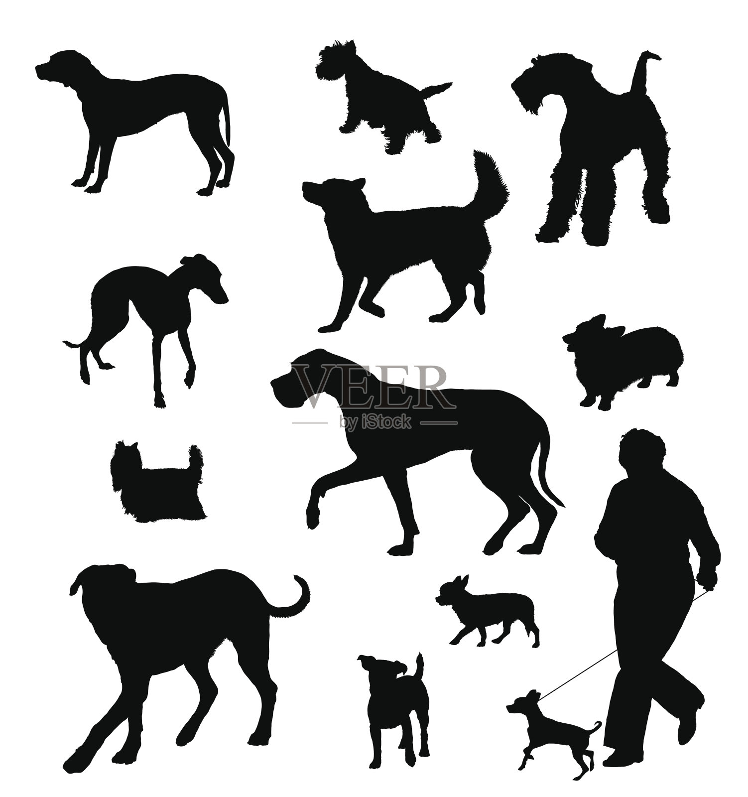 不同大小和品种的狗的轮廓插画图片素材