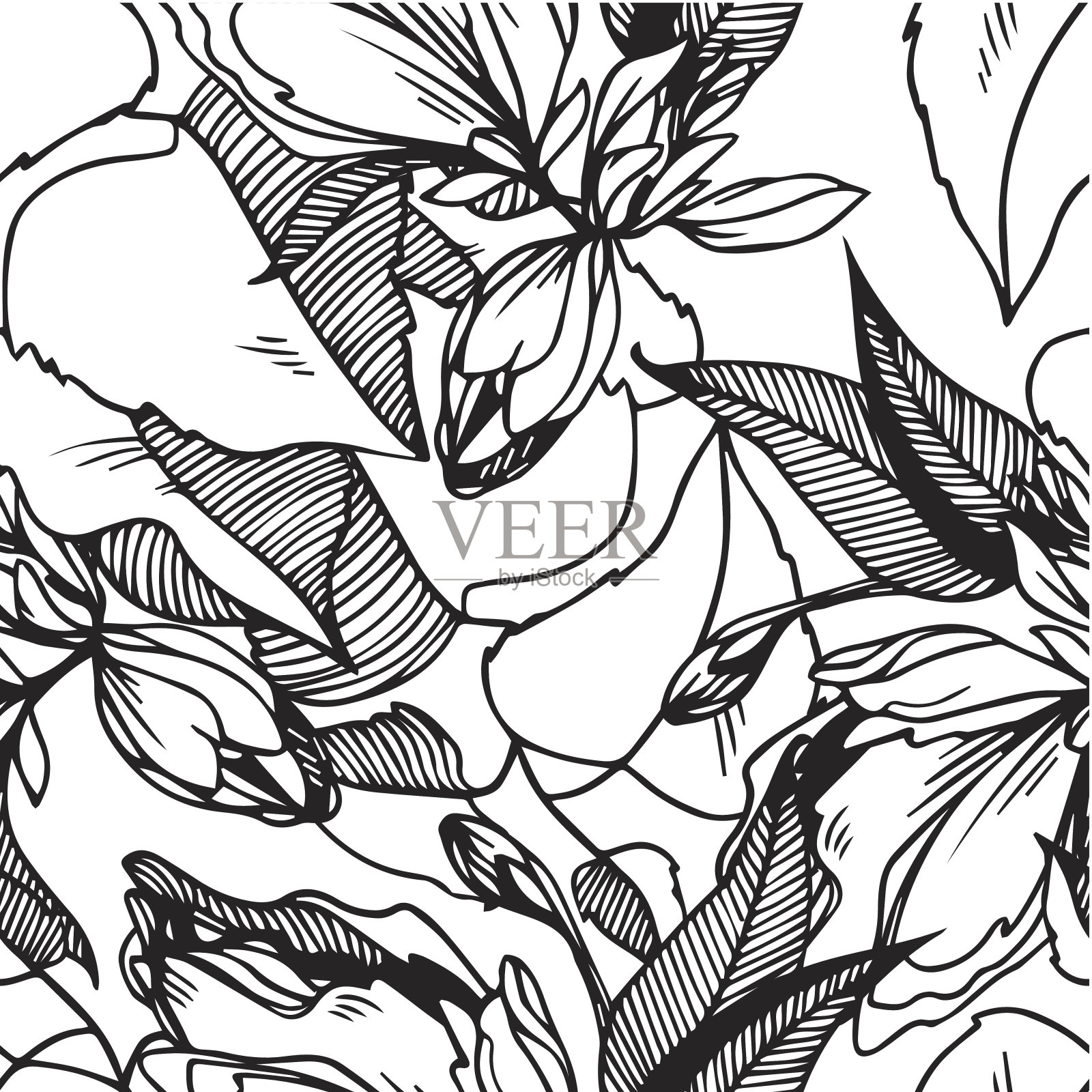 黑白无缝矢量图案抽象的花和叶插画图片素材