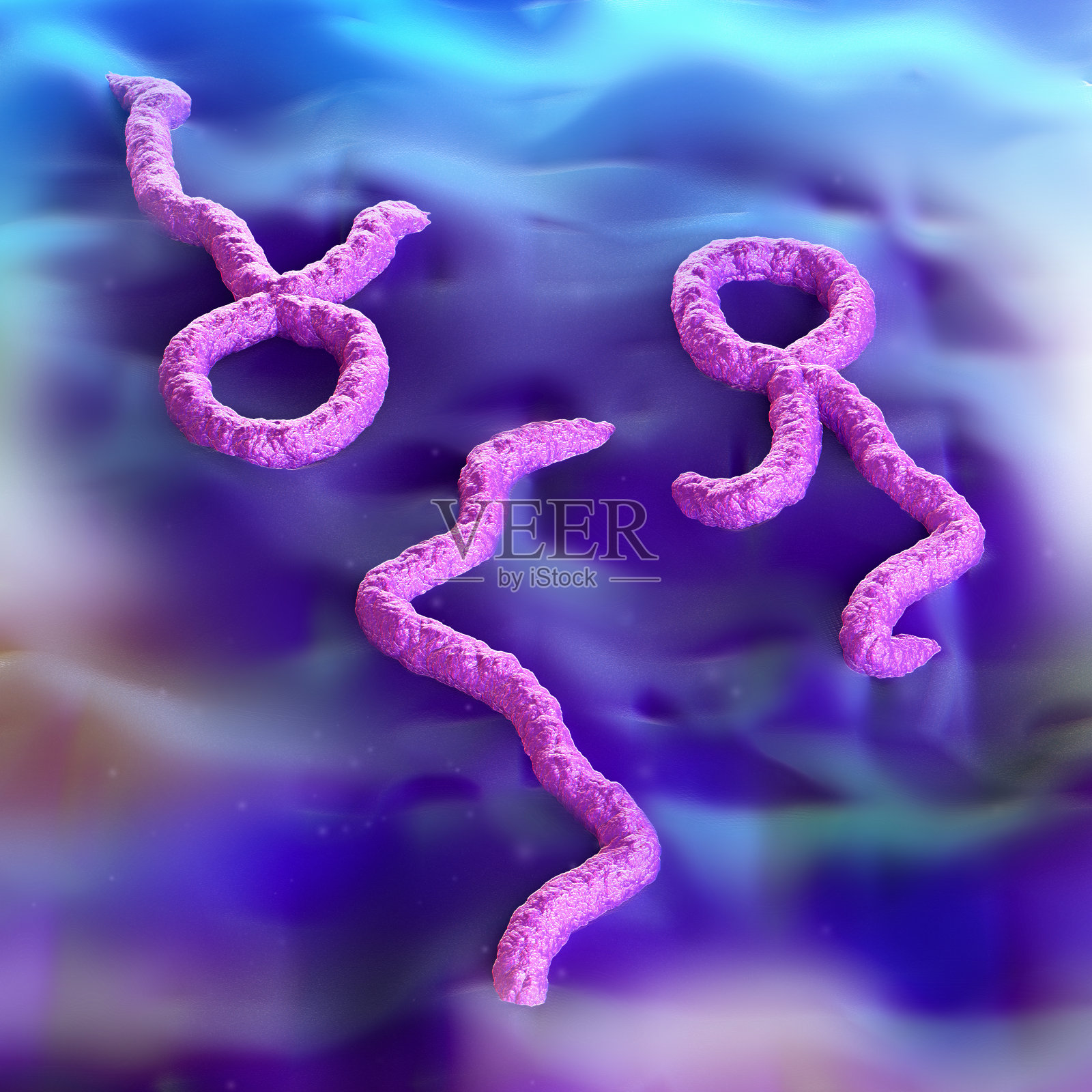 埃博拉病毒照片摄影图片