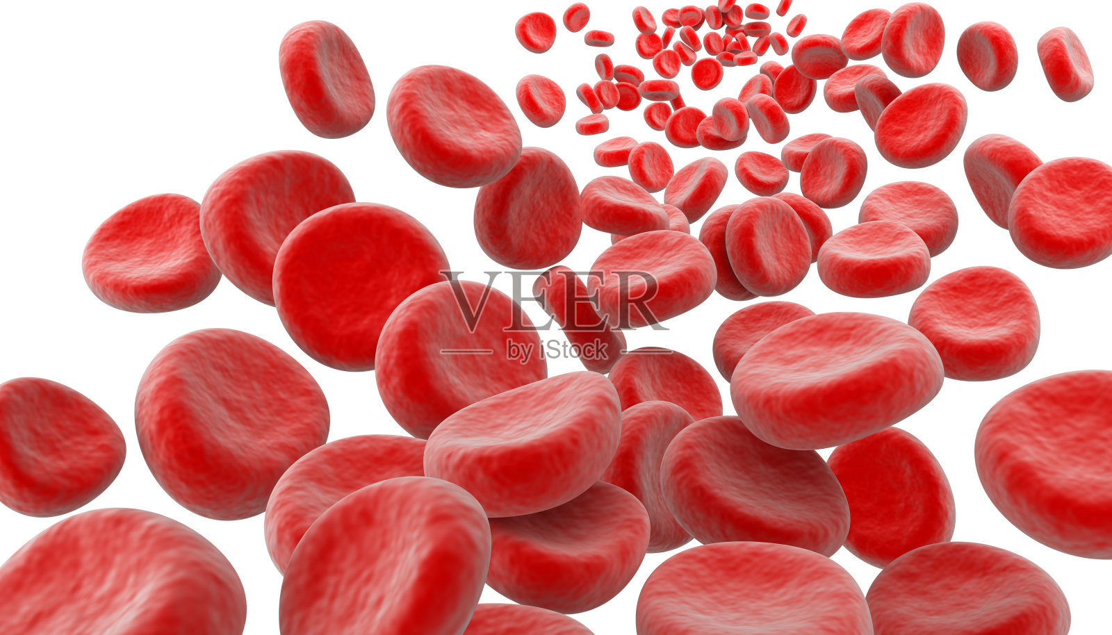 显微镜下的血细胞照片摄影图片