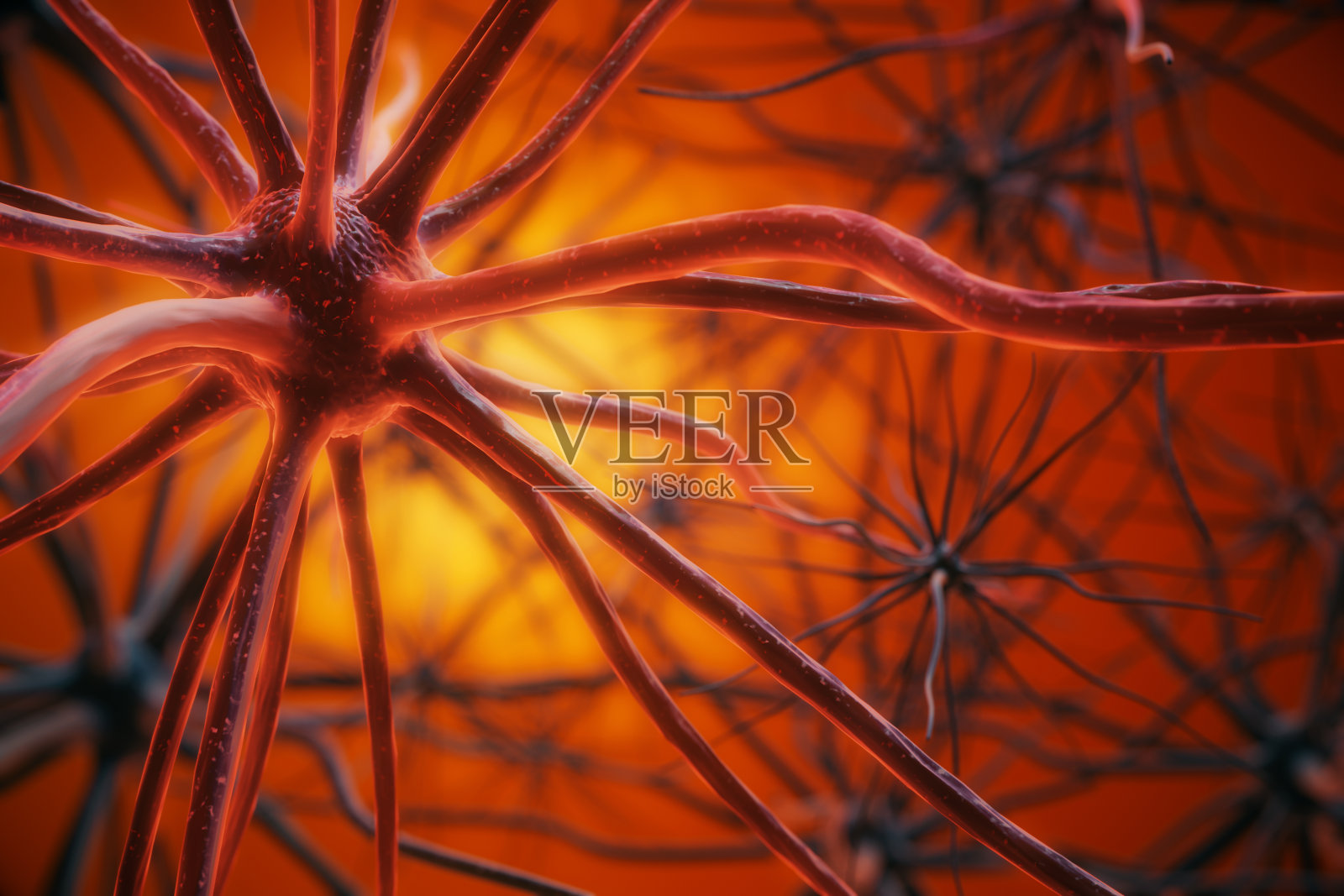 红色神经元背景照片摄影图片