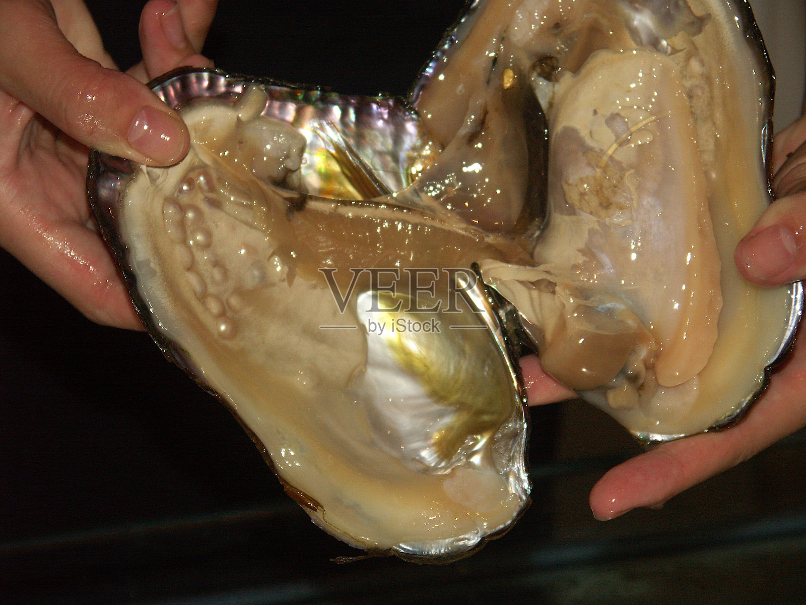 活牡蛎里的珍珠照片摄影图片