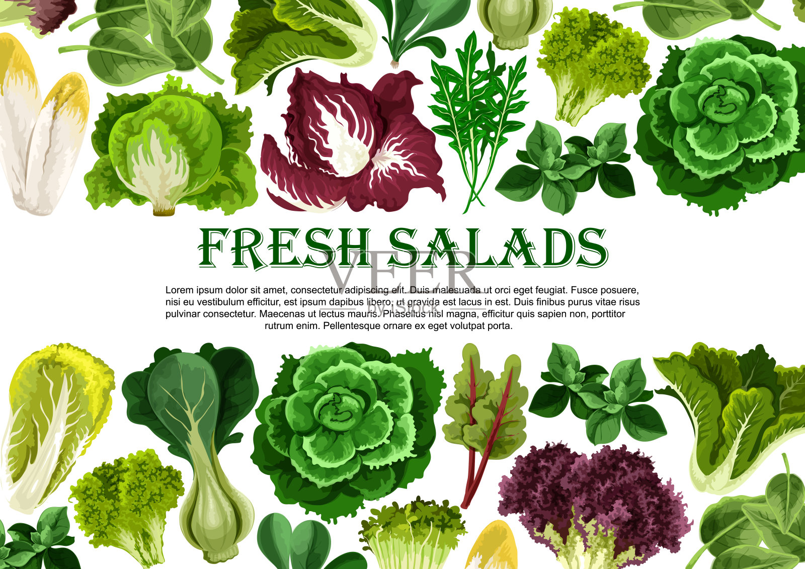 沙拉叶，蔬菜绿色横幅边框设计设计模板素材