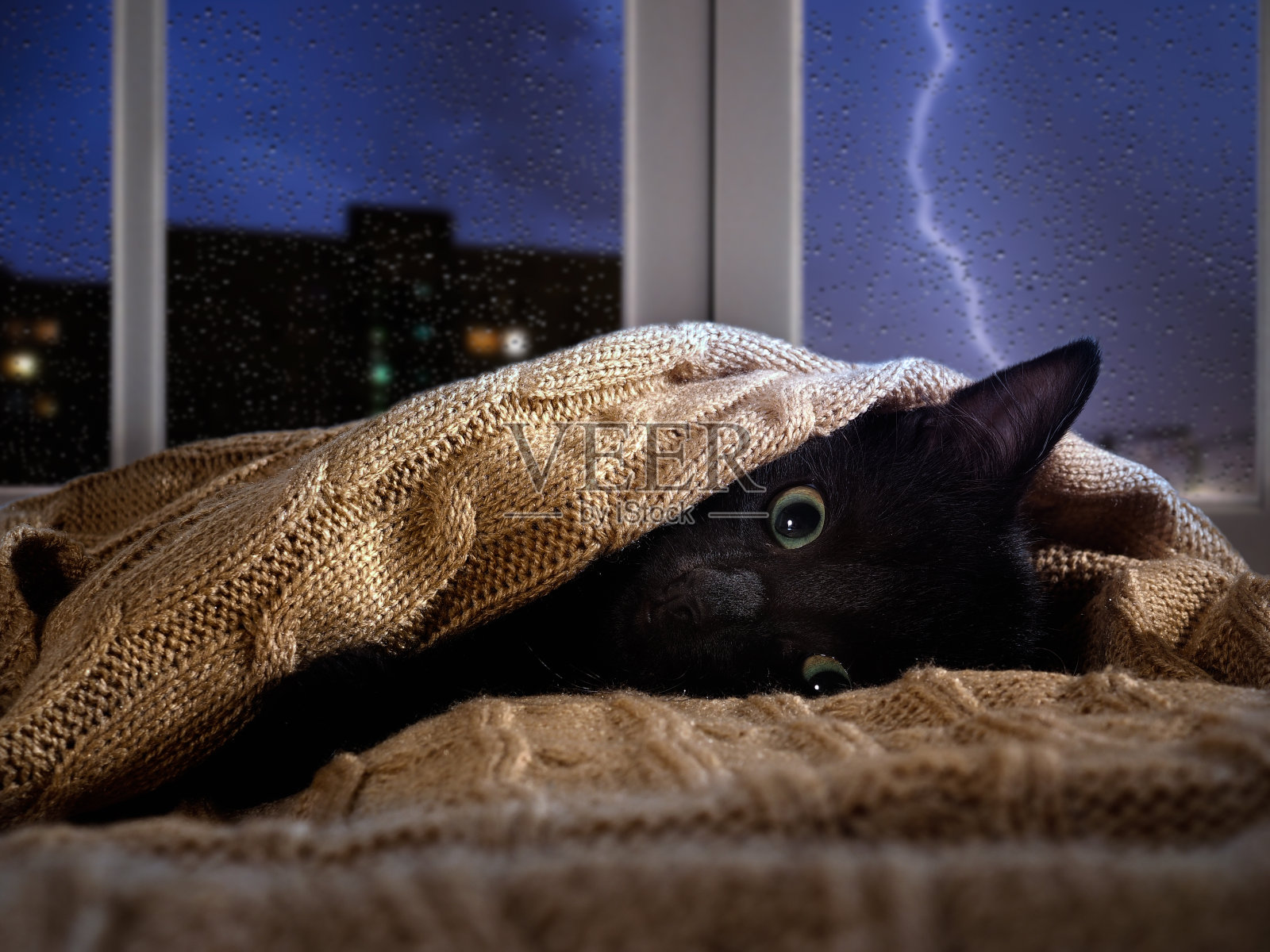 猫害怕窗外的雷声和闪电。小猫躲在毯子下面照片摄影图片