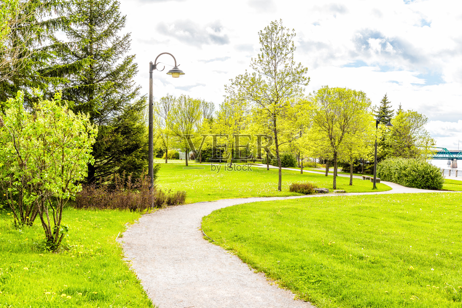 人行道在绿色市中心城市公园在萨圭内，加拿大，魁北克在夏天与峡湾河，桥，木板路散步照片摄影图片