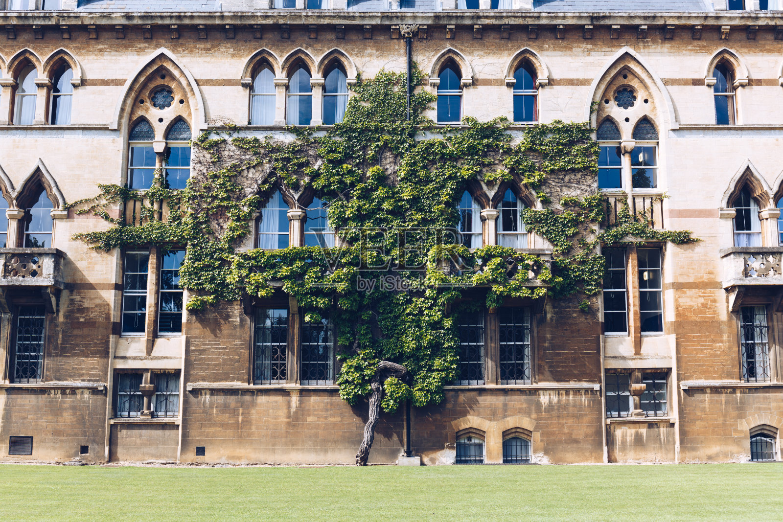 英国牛津基督教堂学院草地大楼外的树照片摄影图片