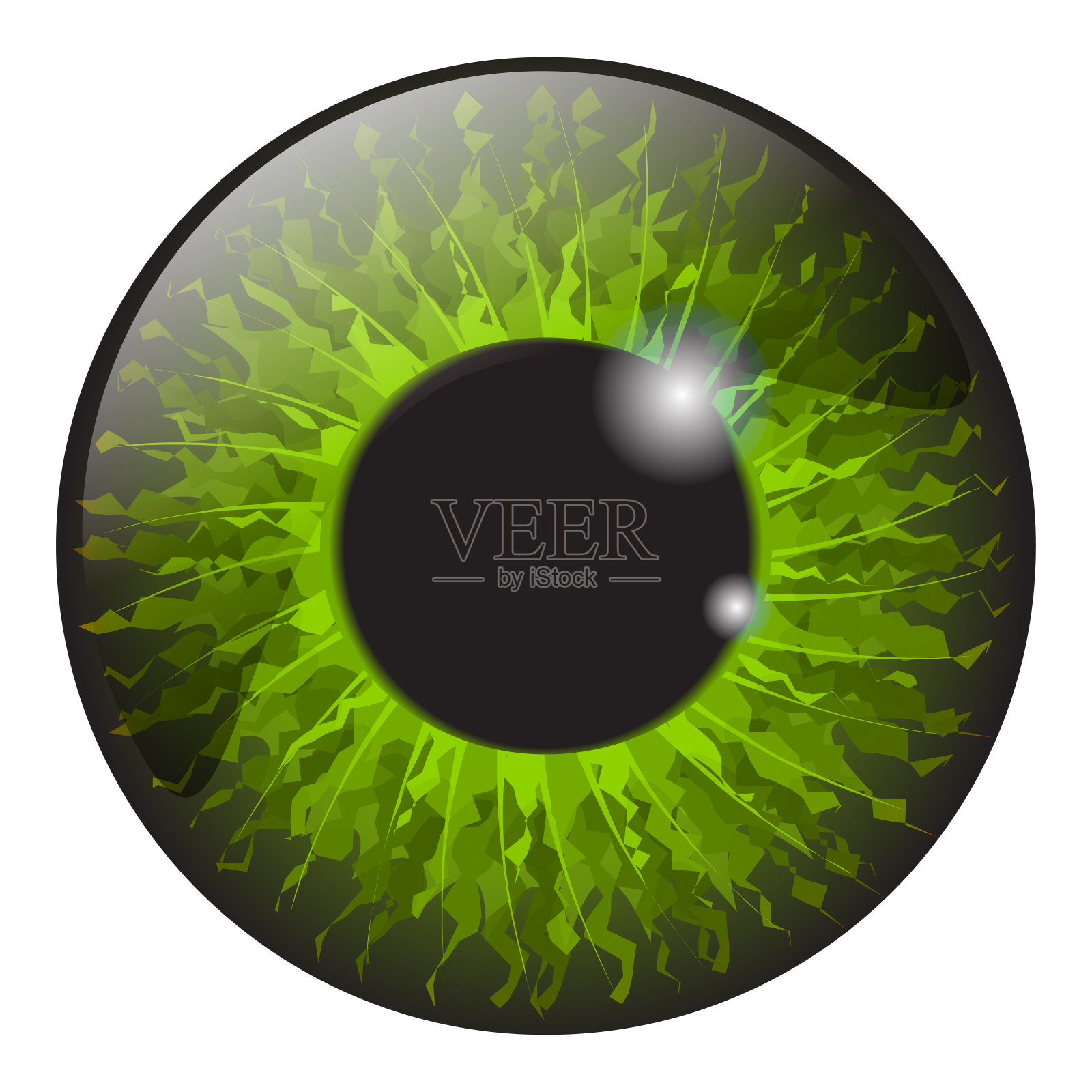 绿色虹膜眼睛现实向量集设计孤立在白色背景插画图片素材