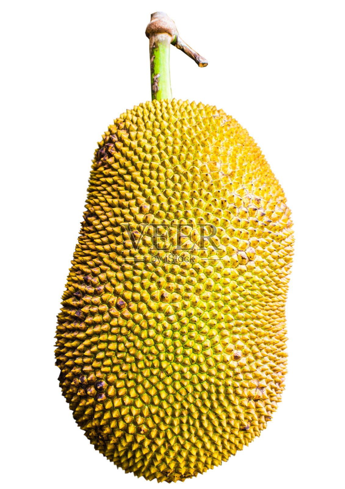 泰国水果菠萝蜜在美丽的白色背景。照片摄影图片