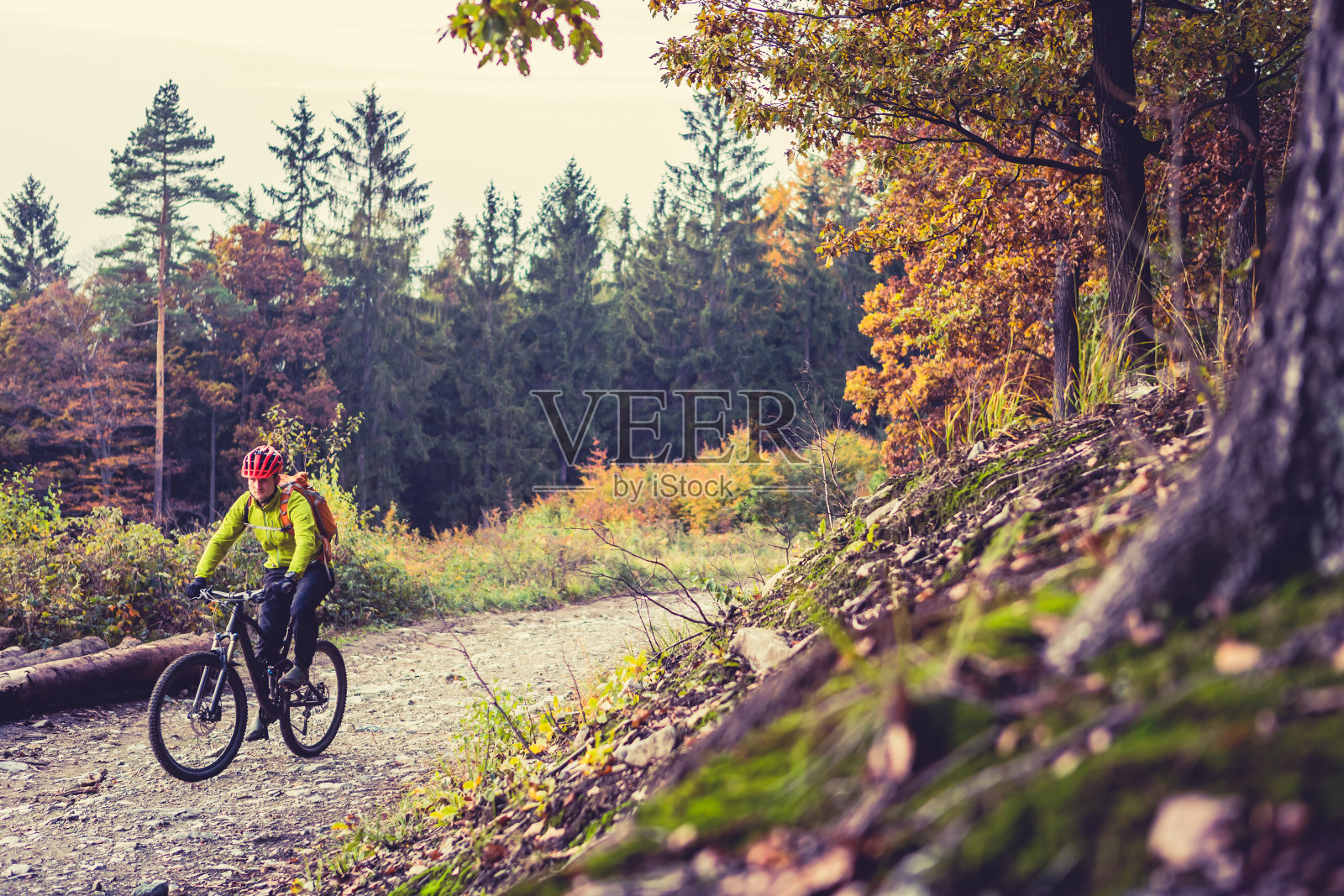 山地车在秋天的森林里骑自行车照片摄影图片
