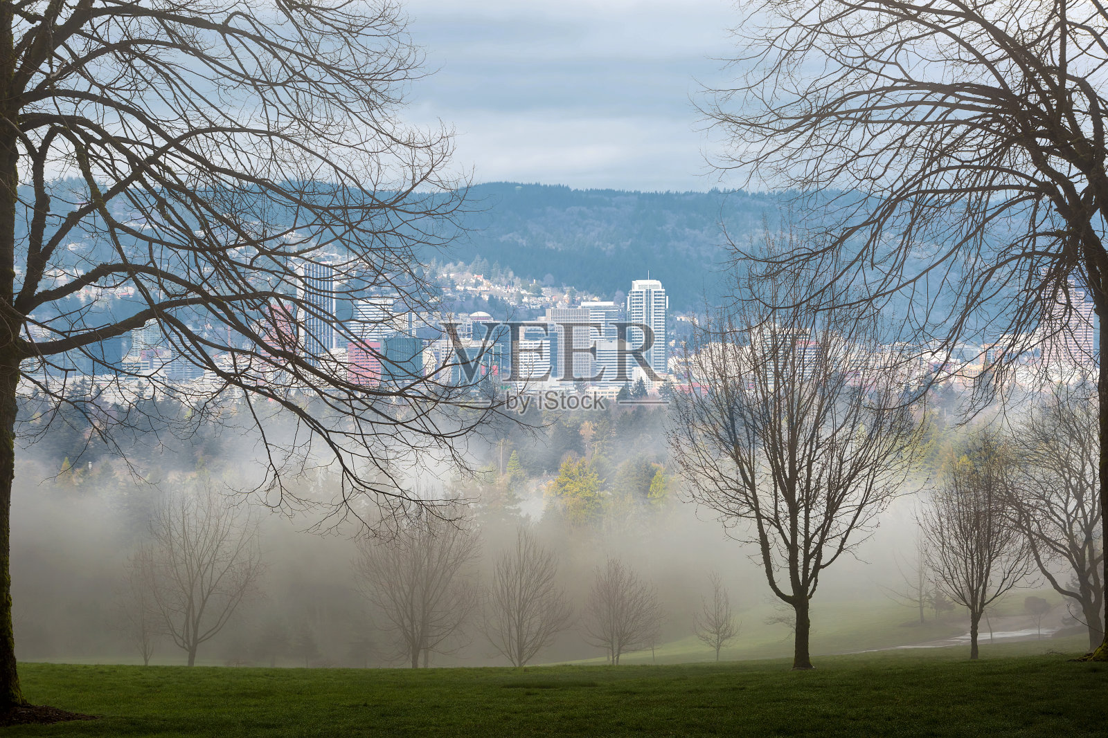 雾冷的早晨在公园风景或美国波特兰市中心的冬季景色照片摄影图片