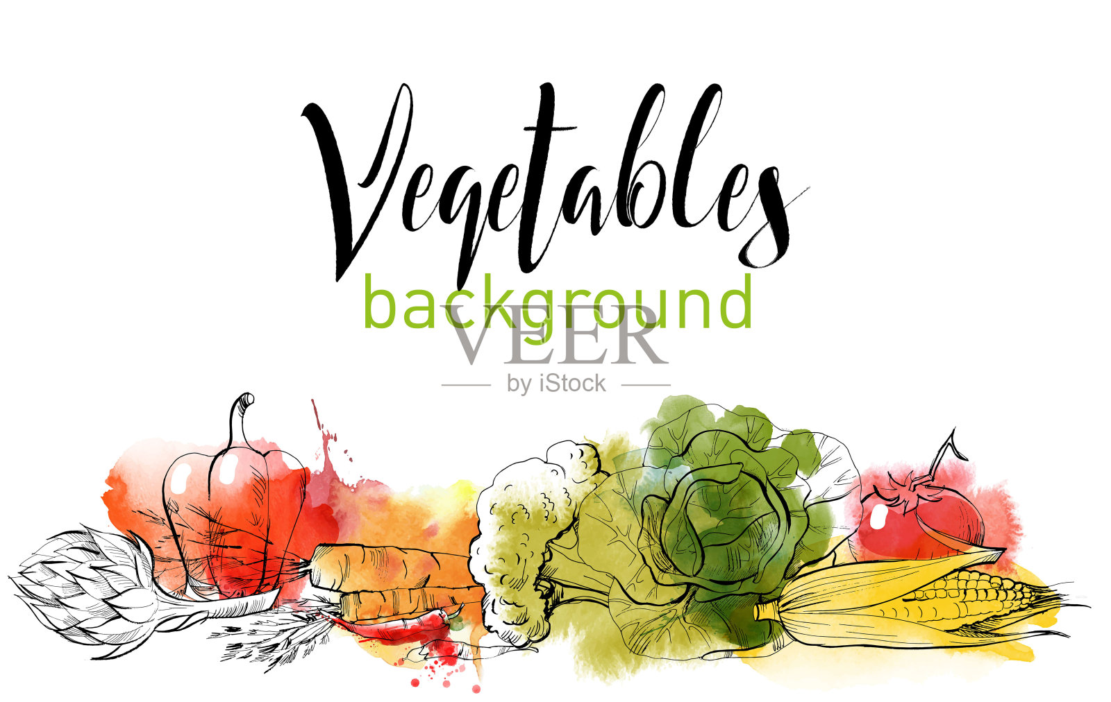 蔬菜插画图片素材