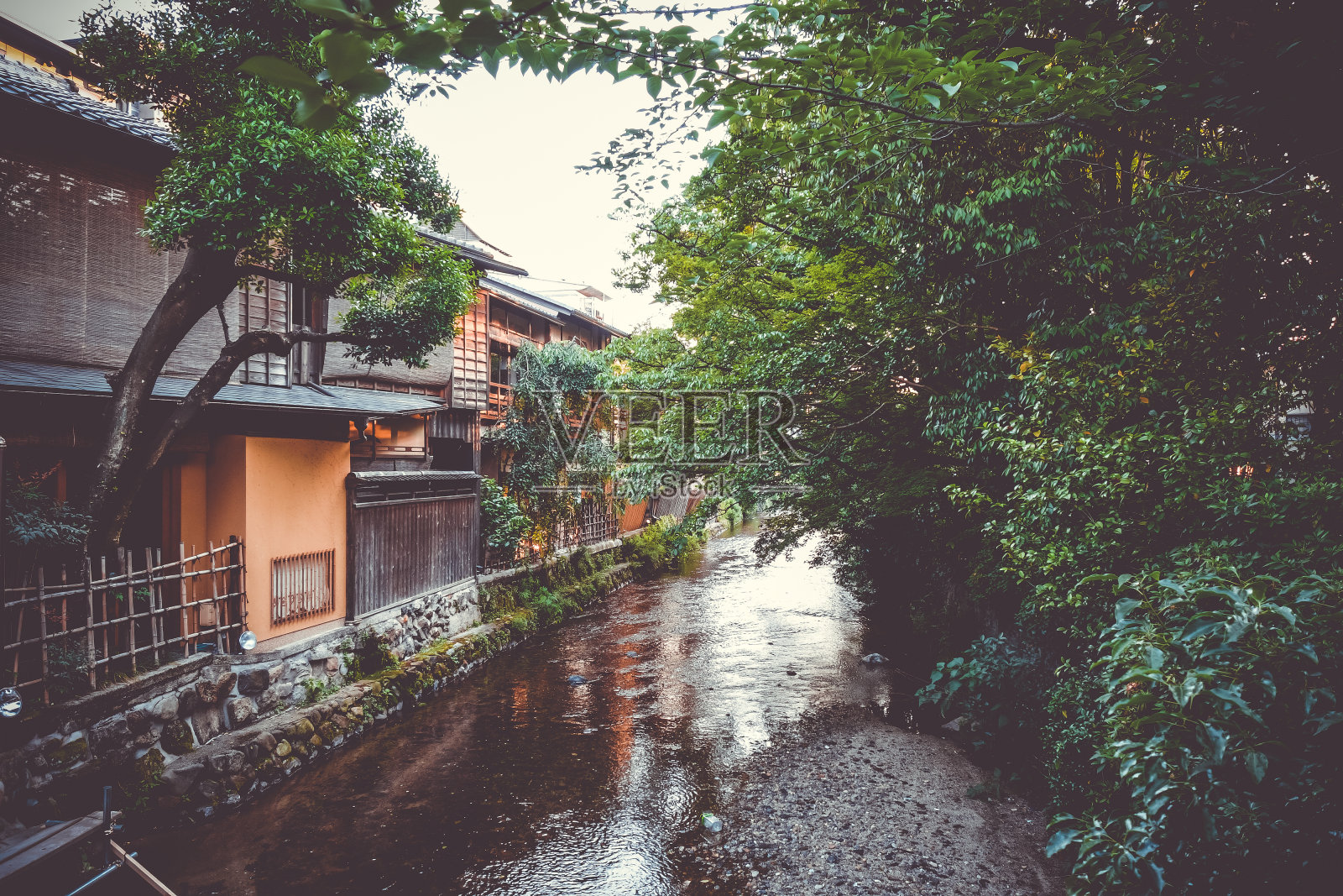 日本京都园区白川河上的传统日本房屋照片摄影图片