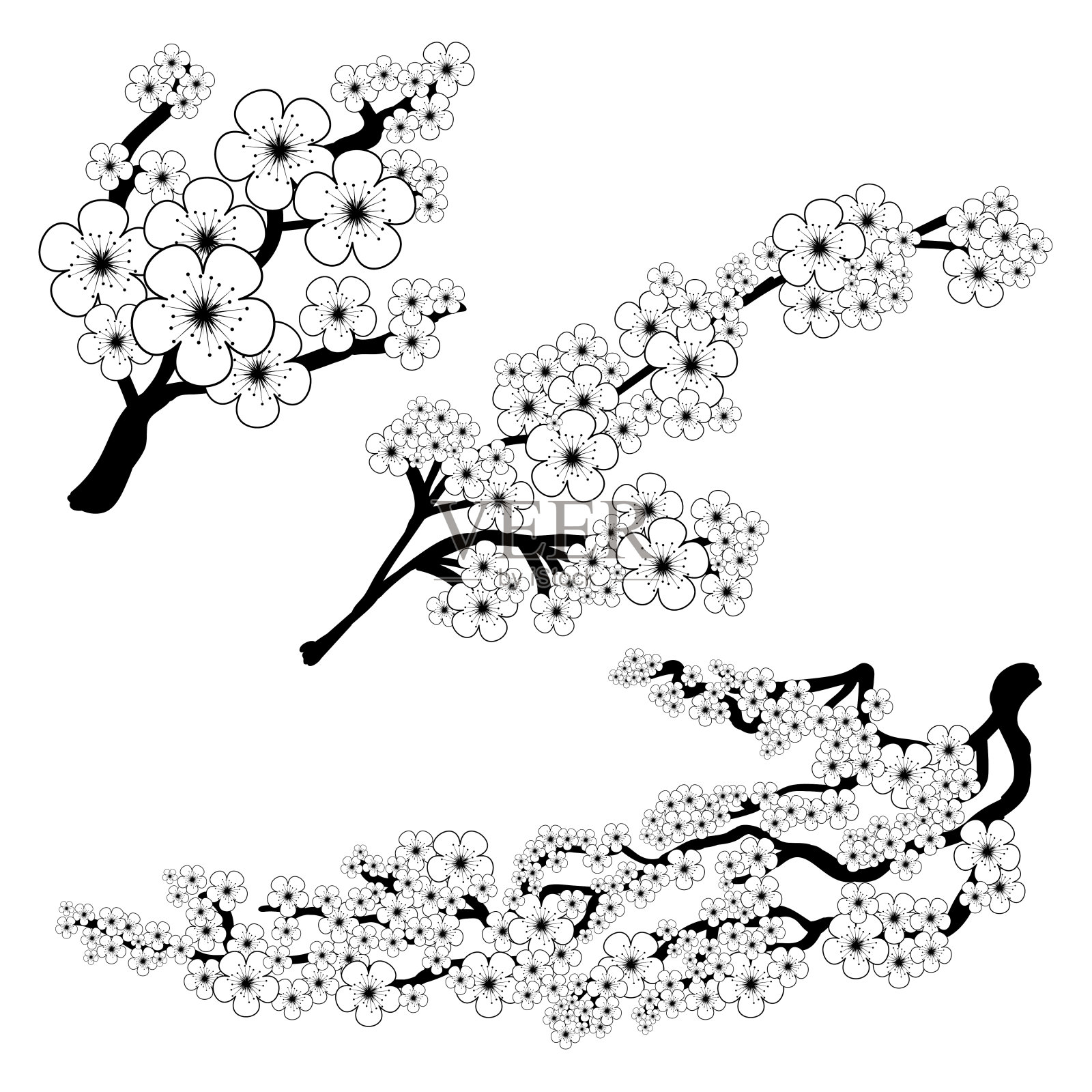 樱花的分支插画图片素材
