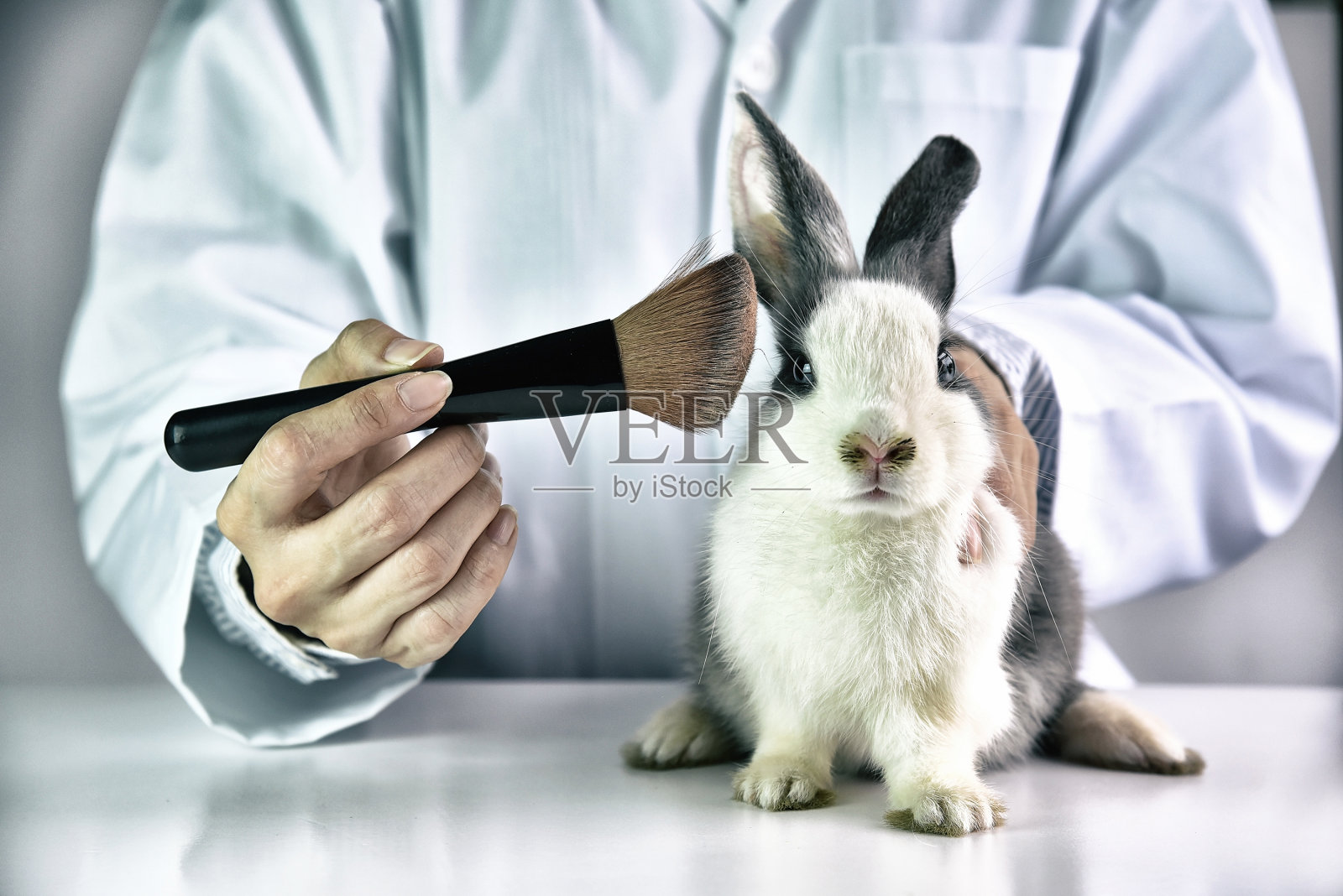 科学家或药剂师在实验室对动物进行化学成分测试，杜绝虐待动物的概念。照片摄影图片