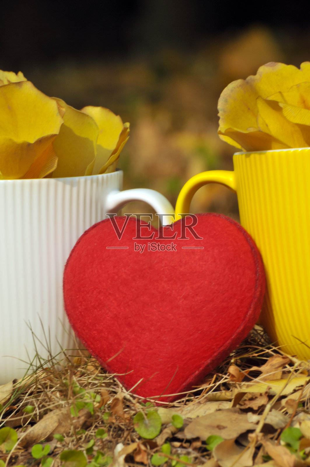 杯与银杏叶和红色的心在秋天的背景照片摄影图片