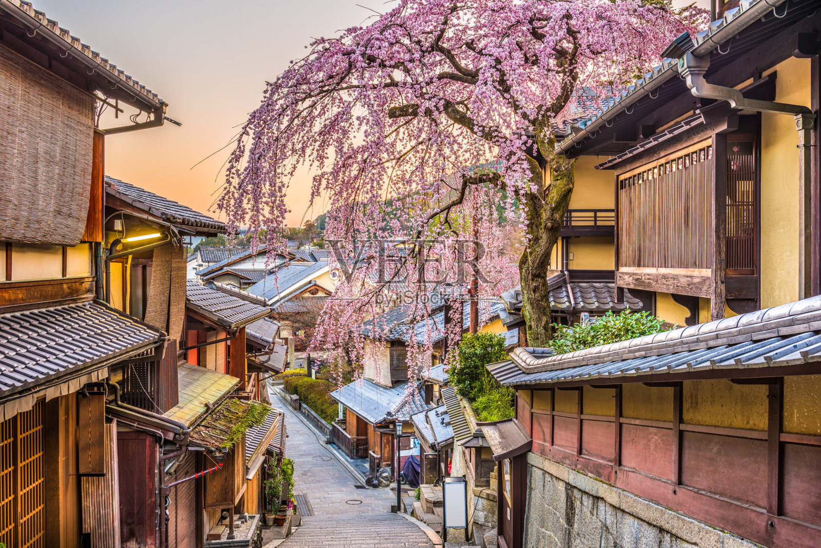 春天，日本的京都照片摄影图片