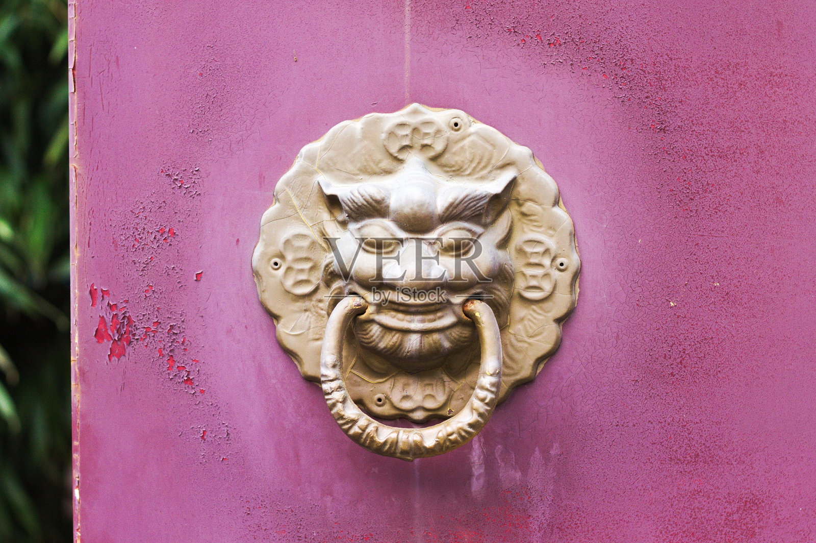 紫色木门上的金色门把手-门环(中国云南昆明)照片摄影图片