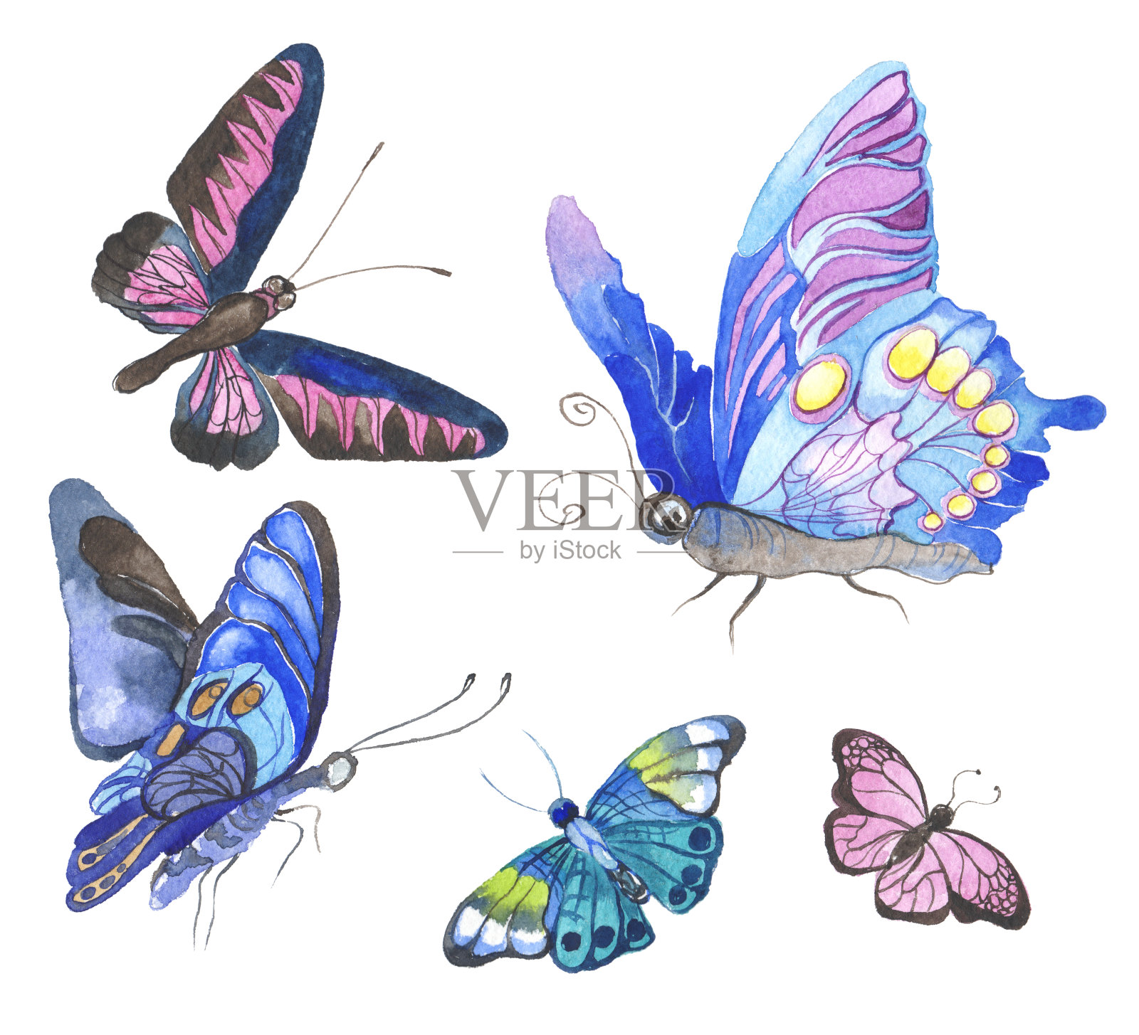 水彩蝴蝶插图插画图片素材