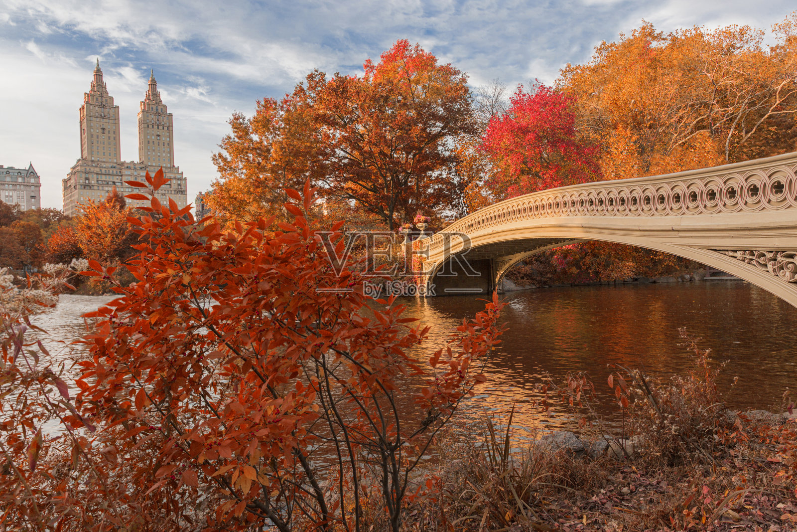 秋天中央公园的弓桥照片摄影图片