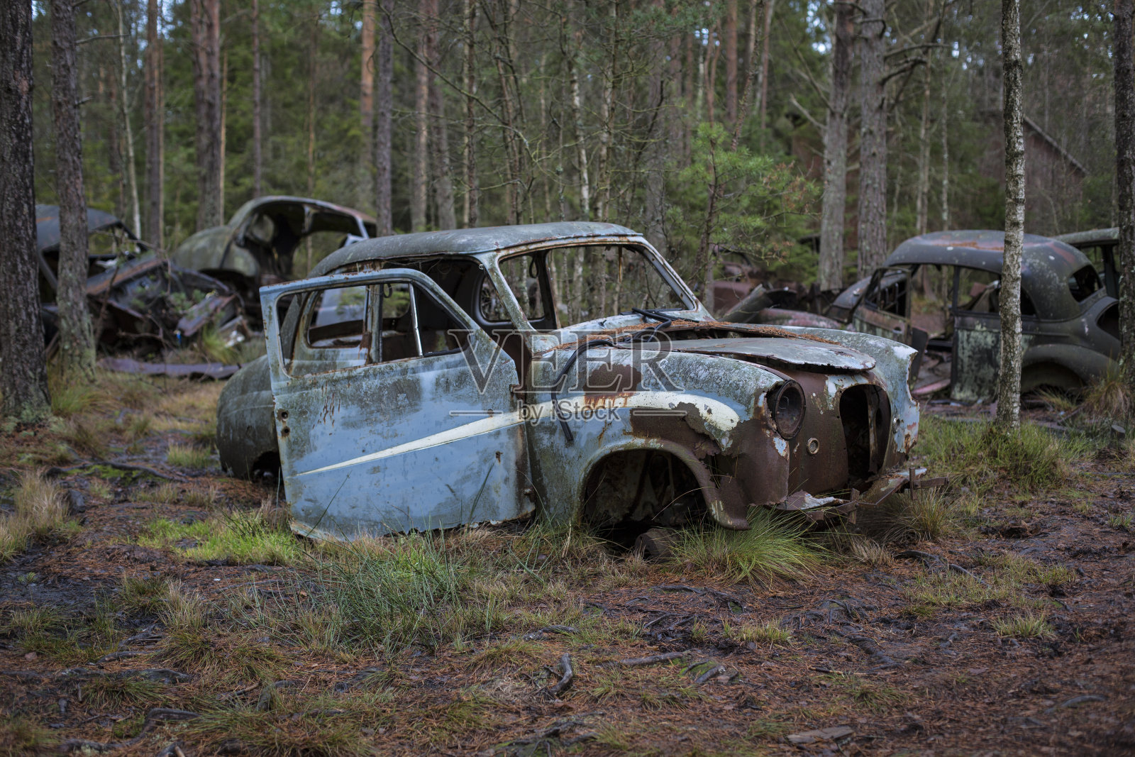 来自里德附近瑞典森林里的一个废品堆积场。照片摄影图片