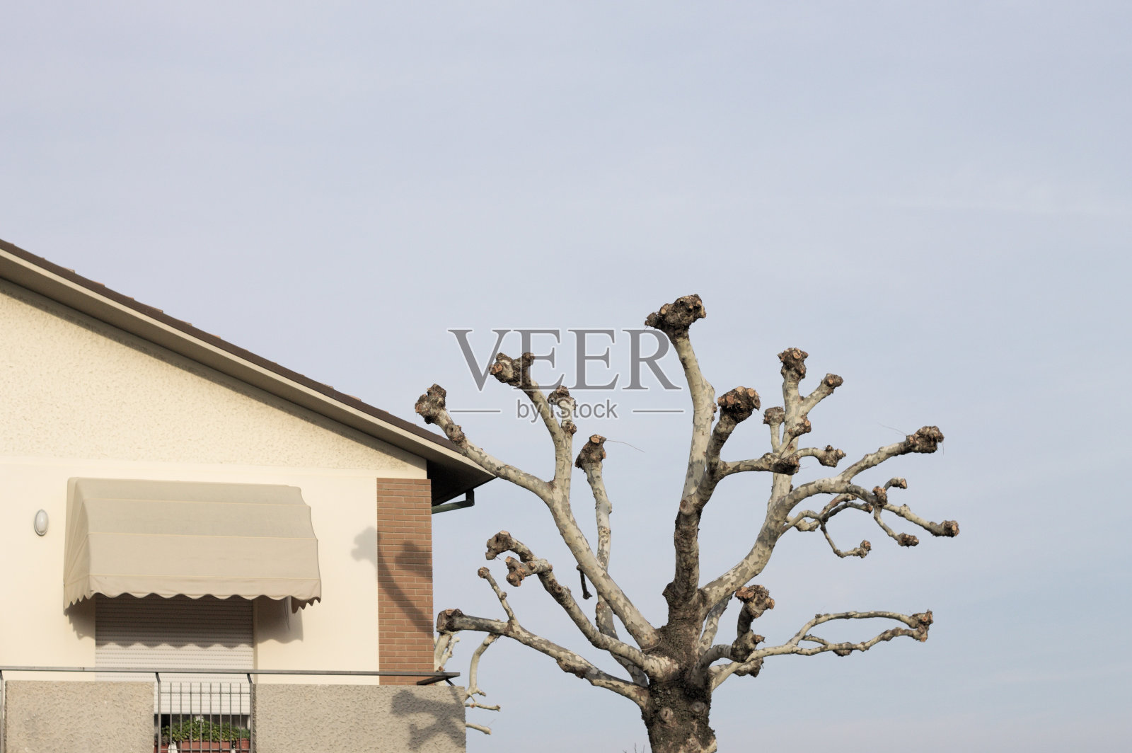 最小建筑立面与树(Fano，意大利)照片摄影图片