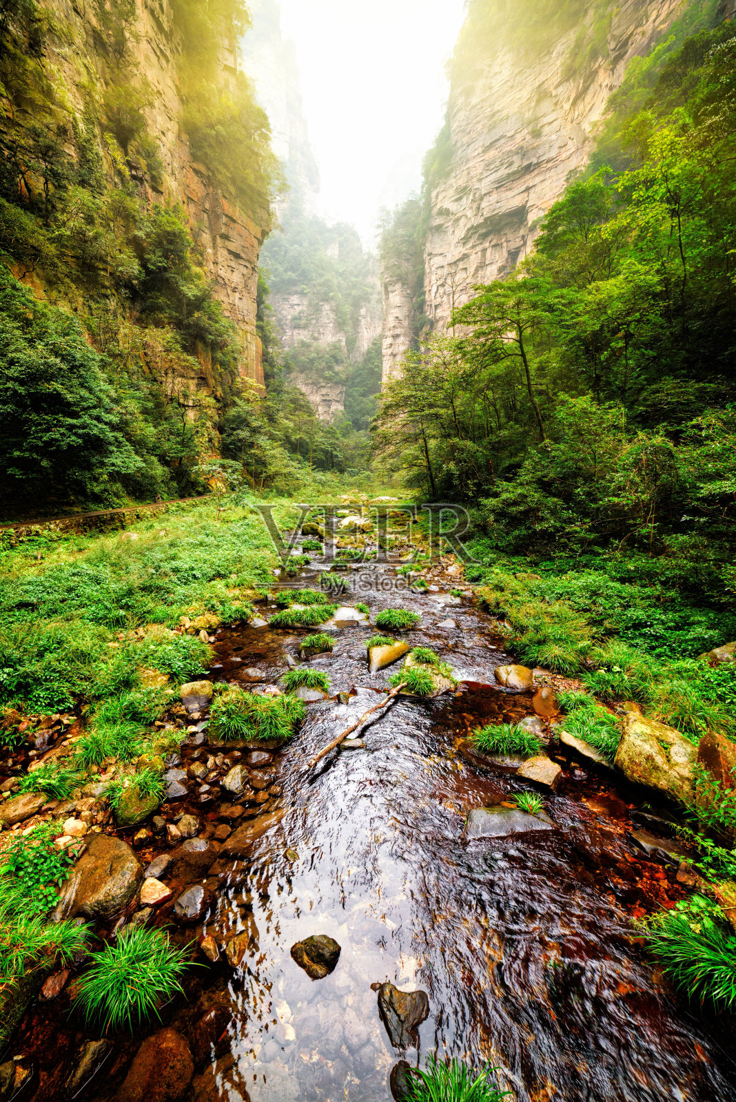美丽的河流和清澈的水在深峡谷的底部照片摄影图片