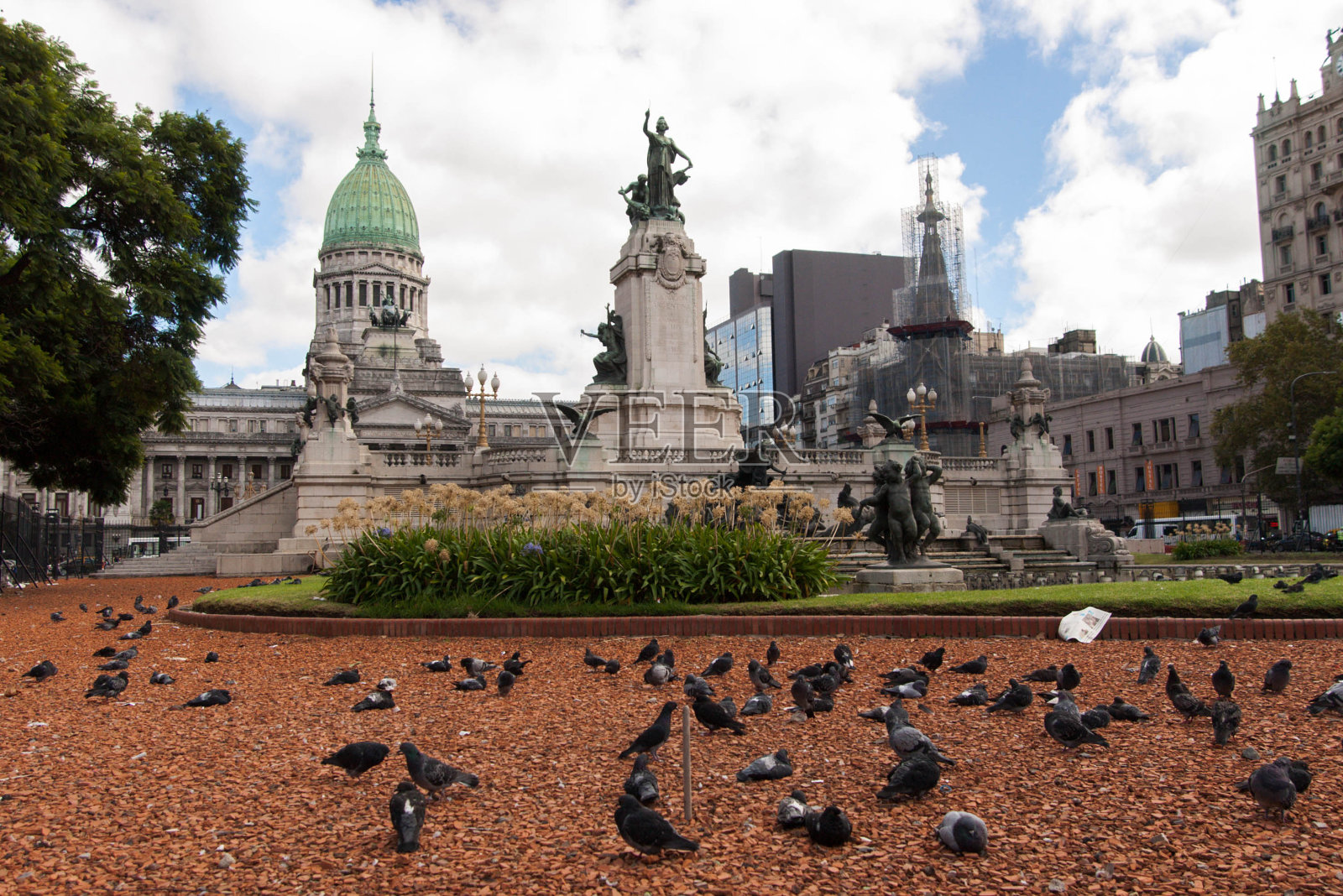 阿根廷布宜诺斯艾利斯国会广场上的鸽子照片摄影图片