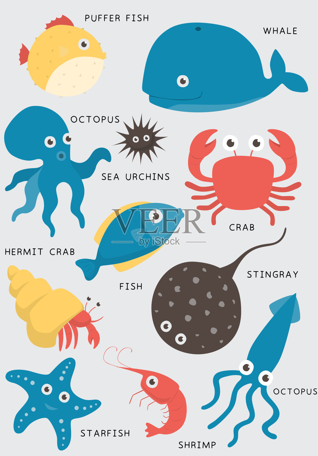 鱼类水族馆热带水生载体插图插画图片素材