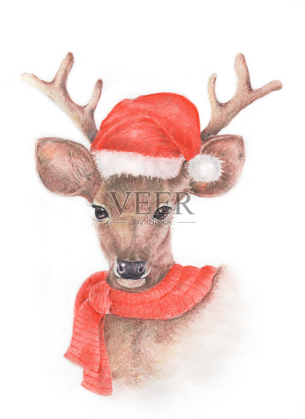 水彩和彩色铅笔画的鹿插画图片素材