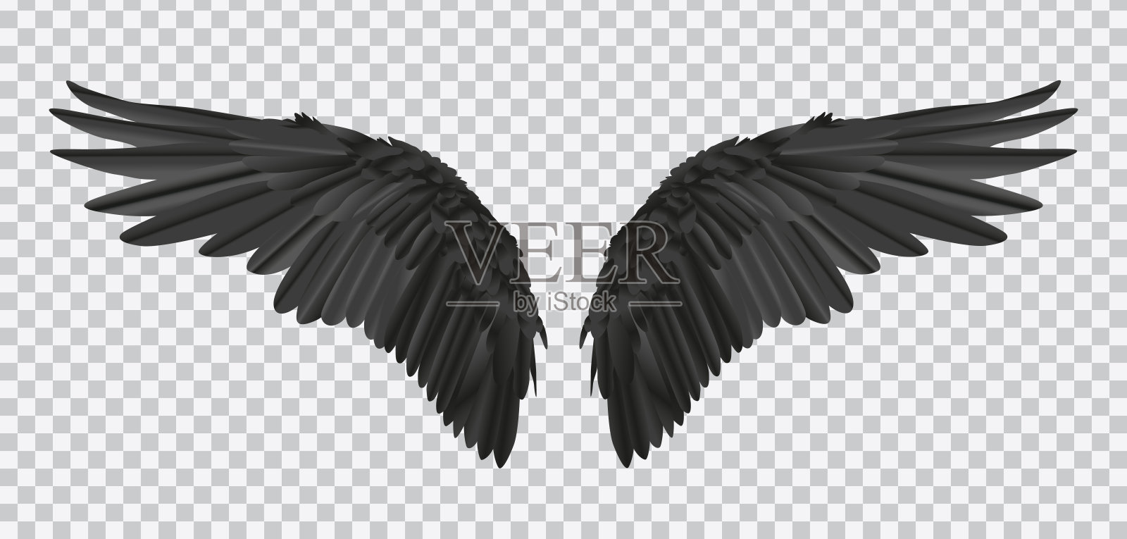 向量对黑色真实的翅膀透明的背景插画图片素材