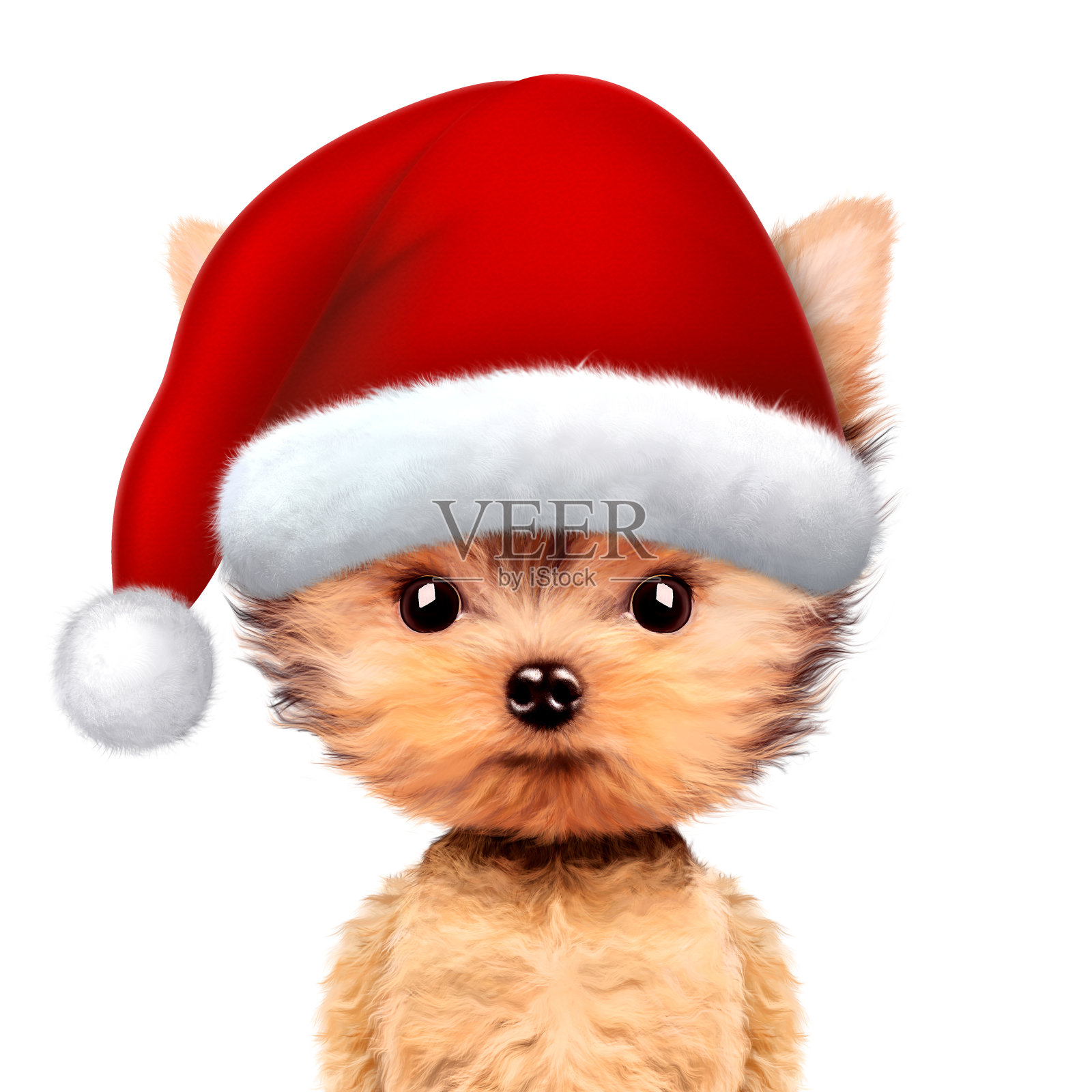 滑稽的狗戴着圣诞老人的帽子。圣诞节的概念插画图片素材