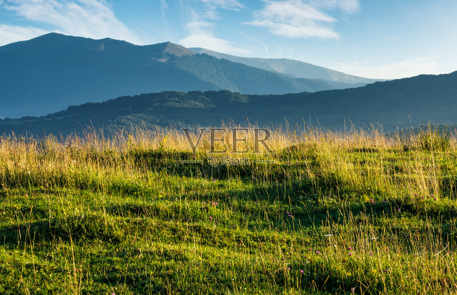 山上的草地是夏天的风景照片摄影图片