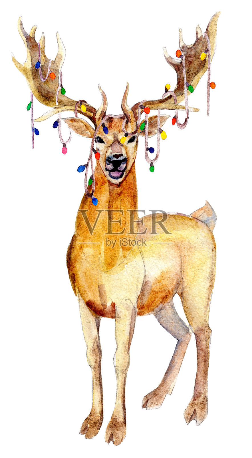 圣诞鹿花环，水彩插图孤立在白色的背景。插画图片素材