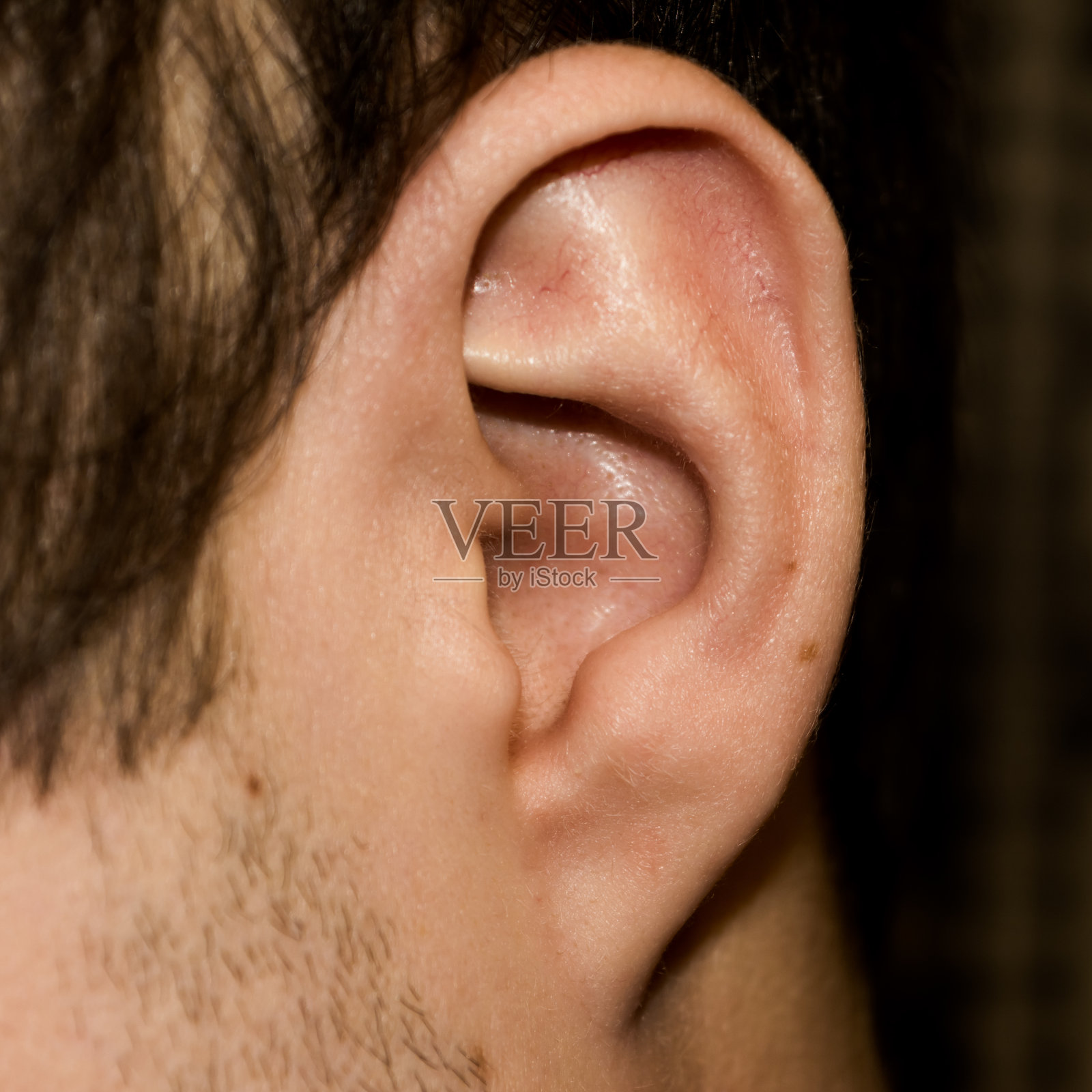 男性的耳朵。附着耳垂特写。照片摄影图片