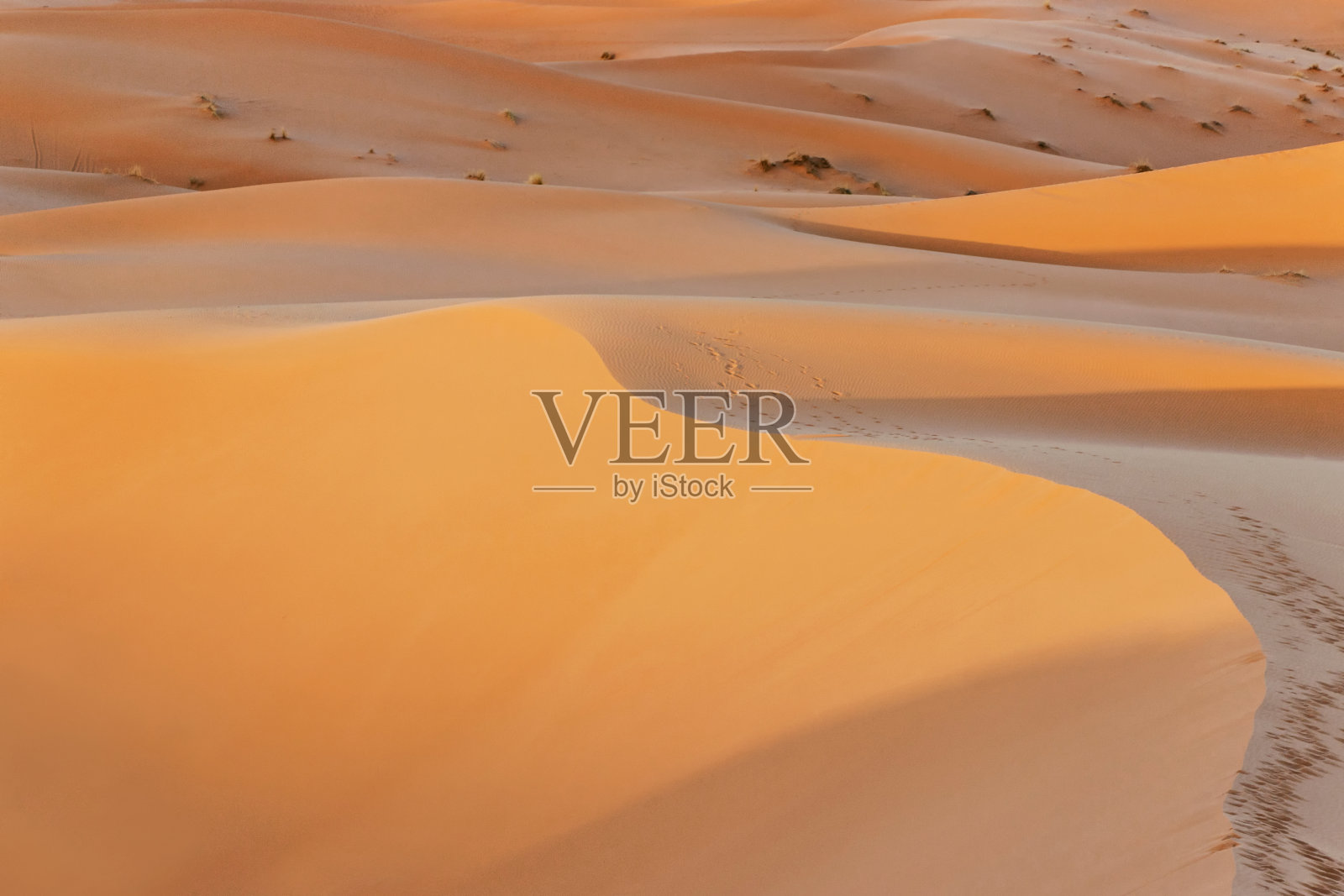 阳光照在沙漠中的沙丘上照片摄影图片