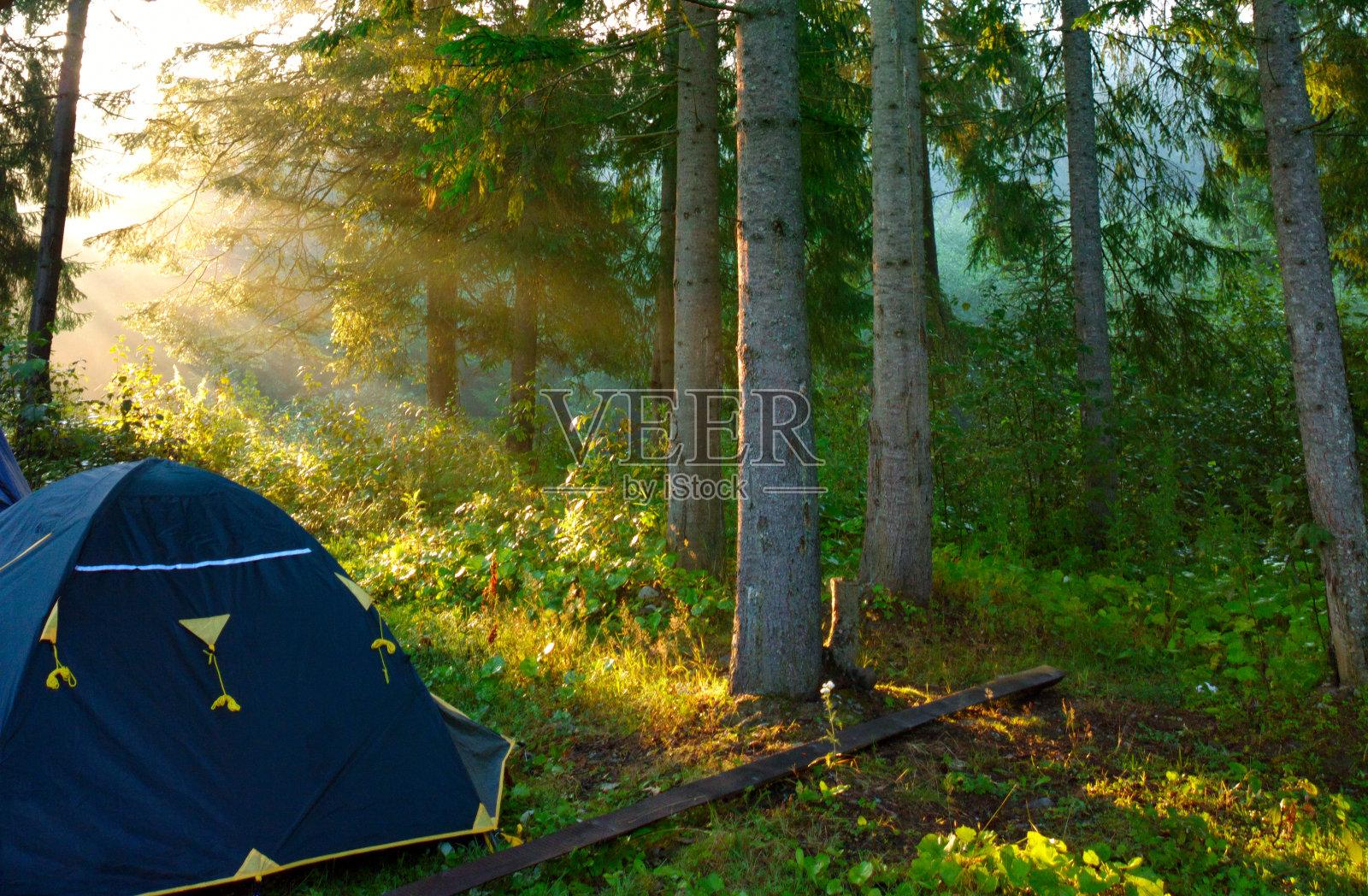 森林营地中的旅游帐篷。照片摄影图片